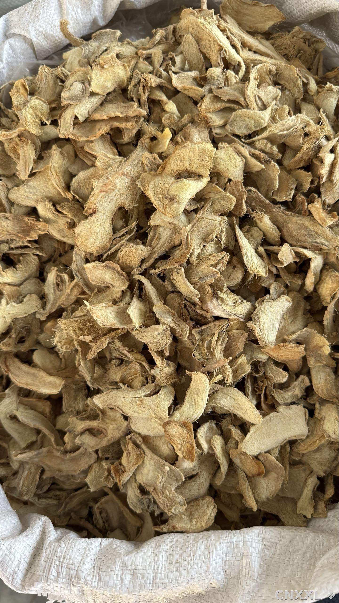 spice_6027775_cf992c88_3.jpg