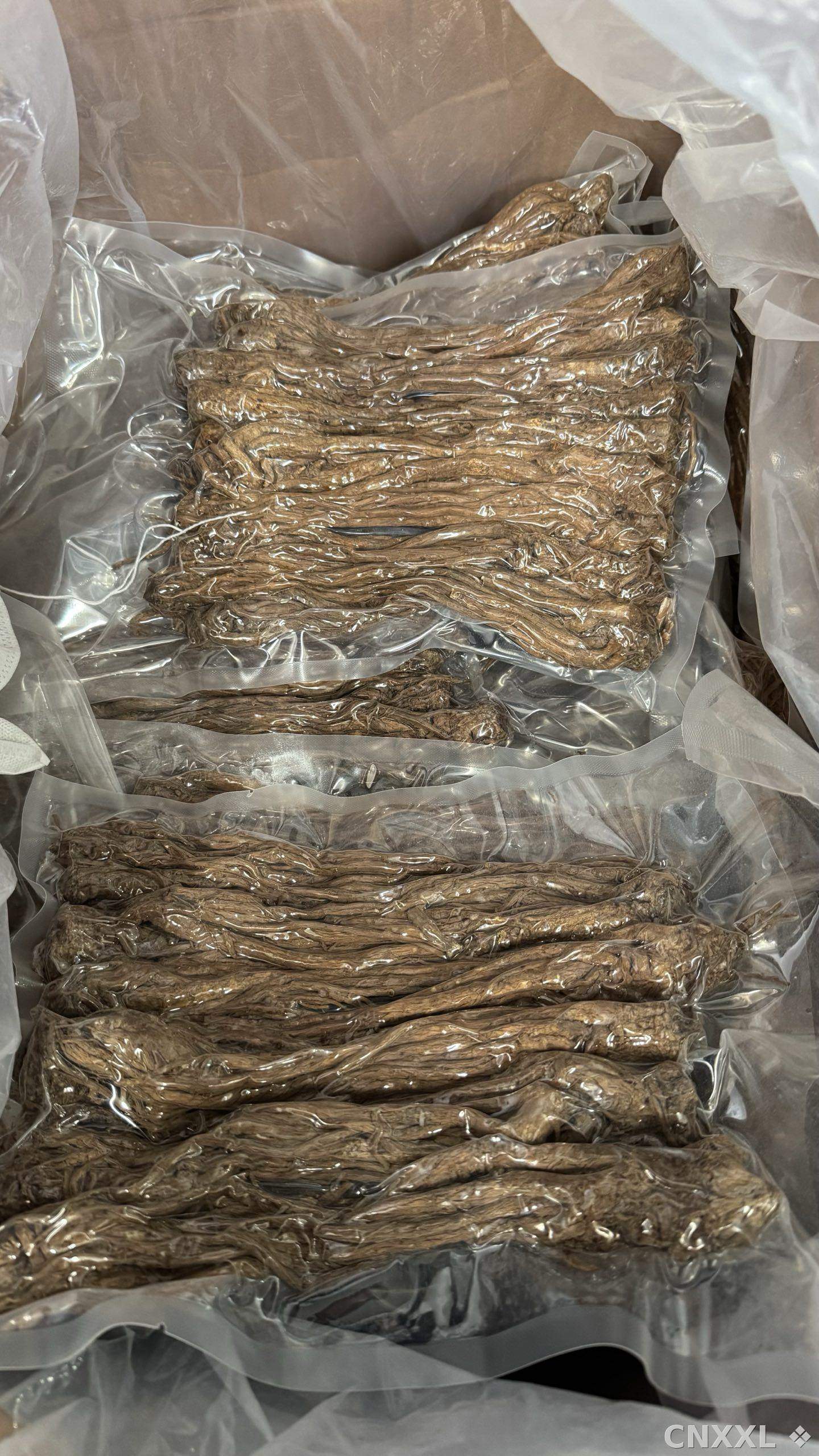 spice_6126276_8a10ce10_2.jpg
