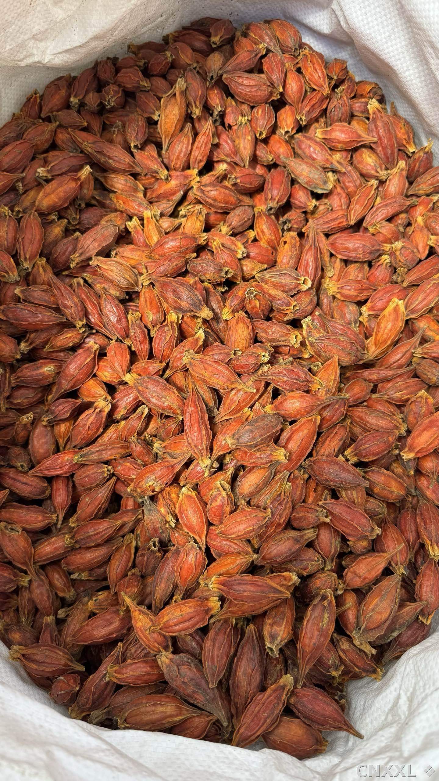 spice_6157378_df5b30fb_3.jpg