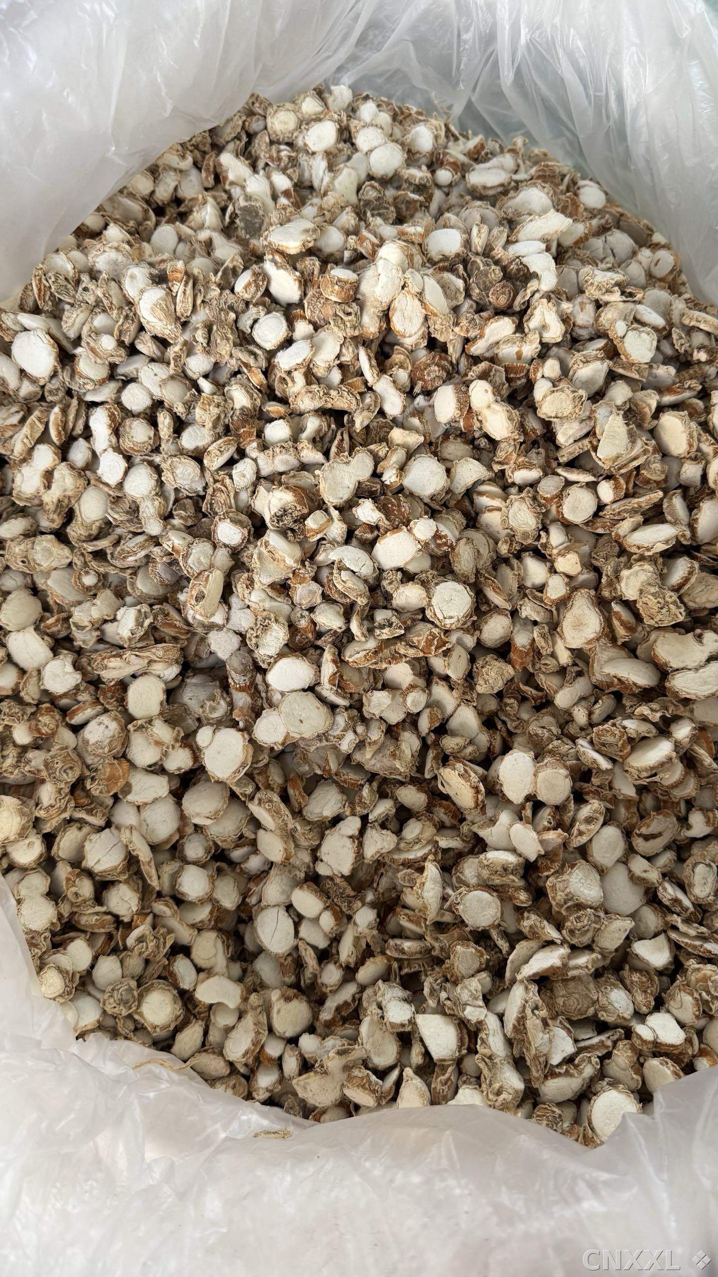 spice_6230005_360ce4fa_3.jpg