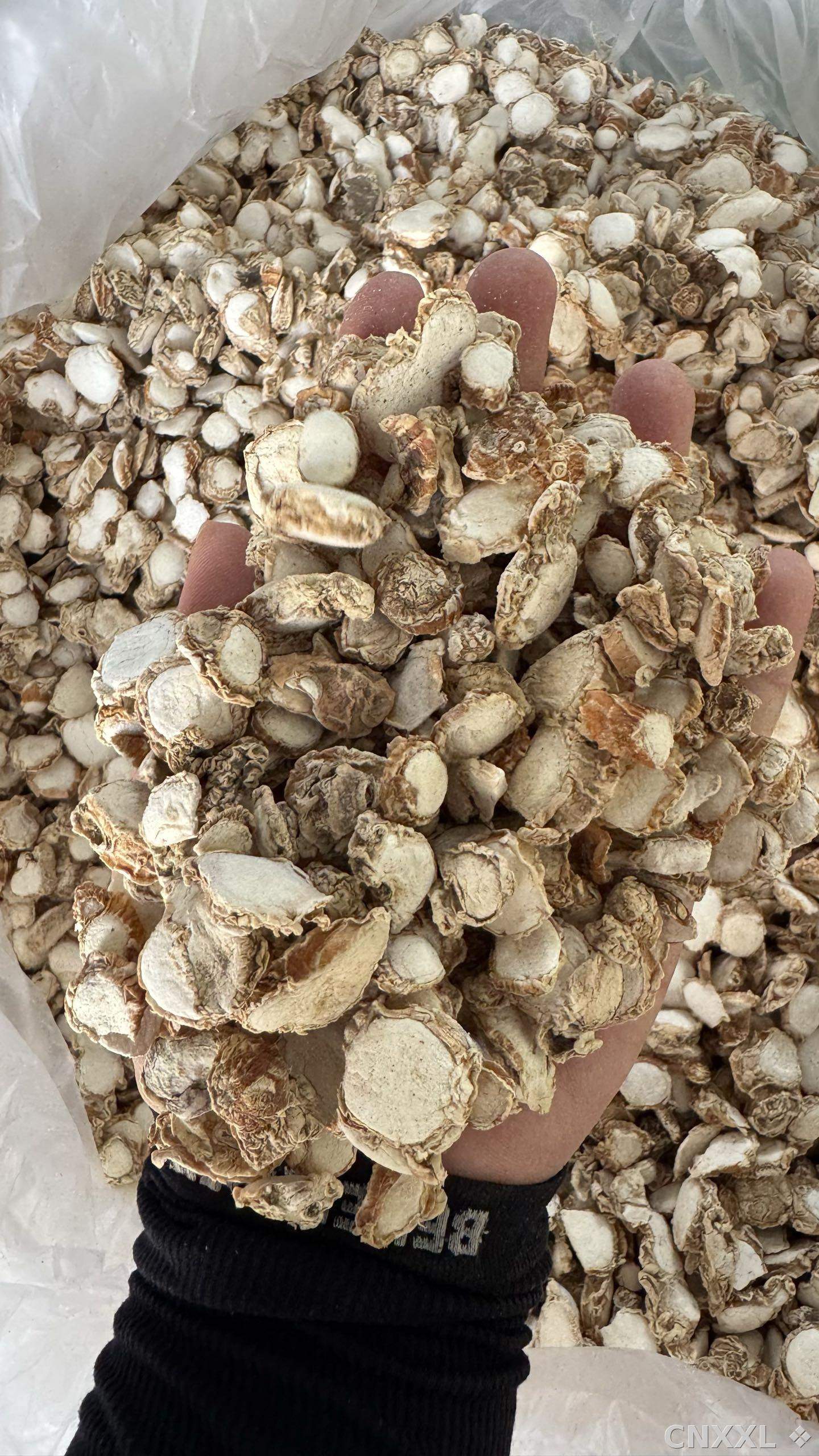 spice_6230005_810d2226_1.jpg