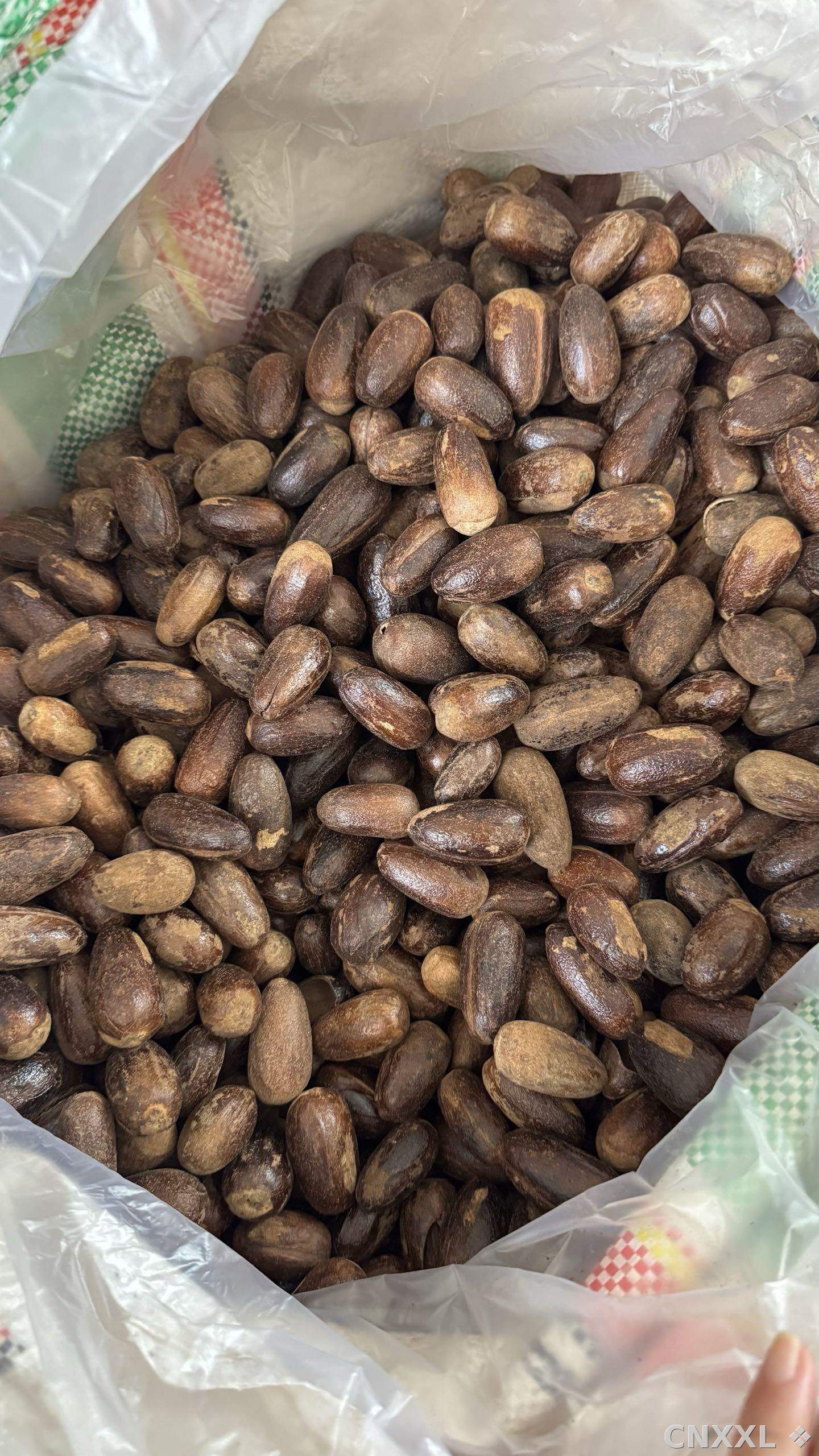 spice_6230006_67f9ab80_3.jpg
