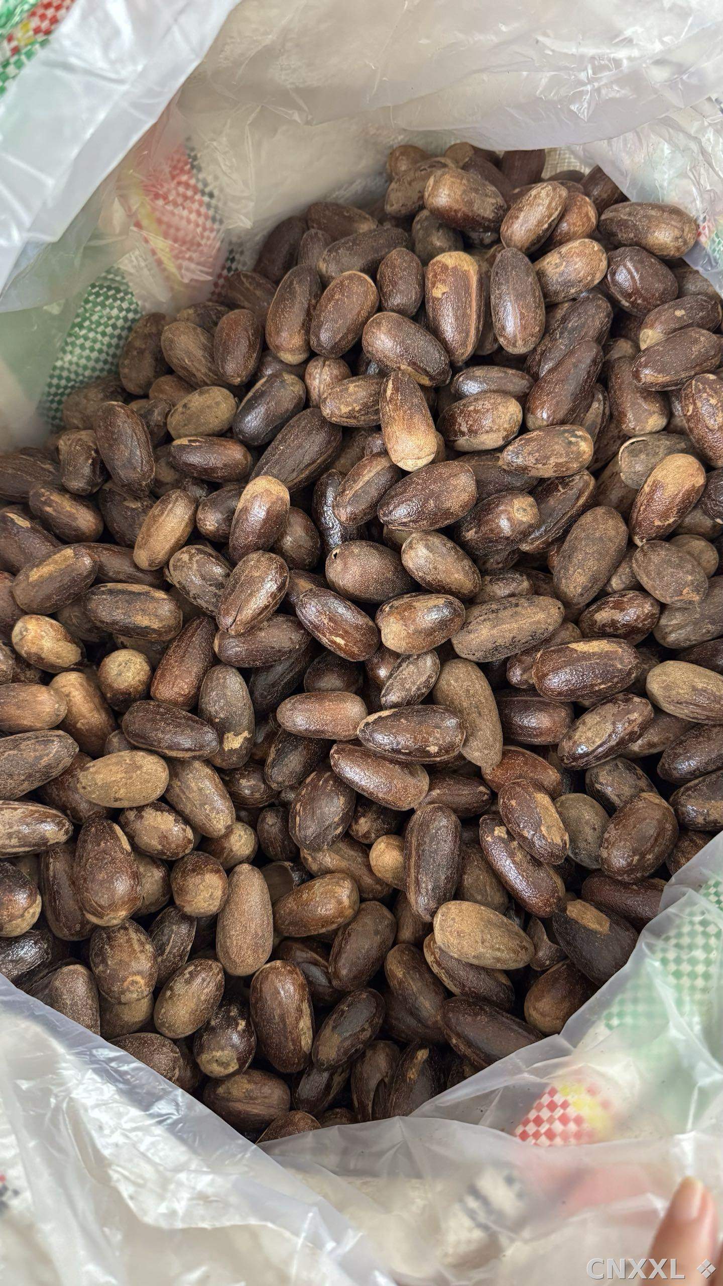spice_6230006_8fe7a7ea_2.jpg