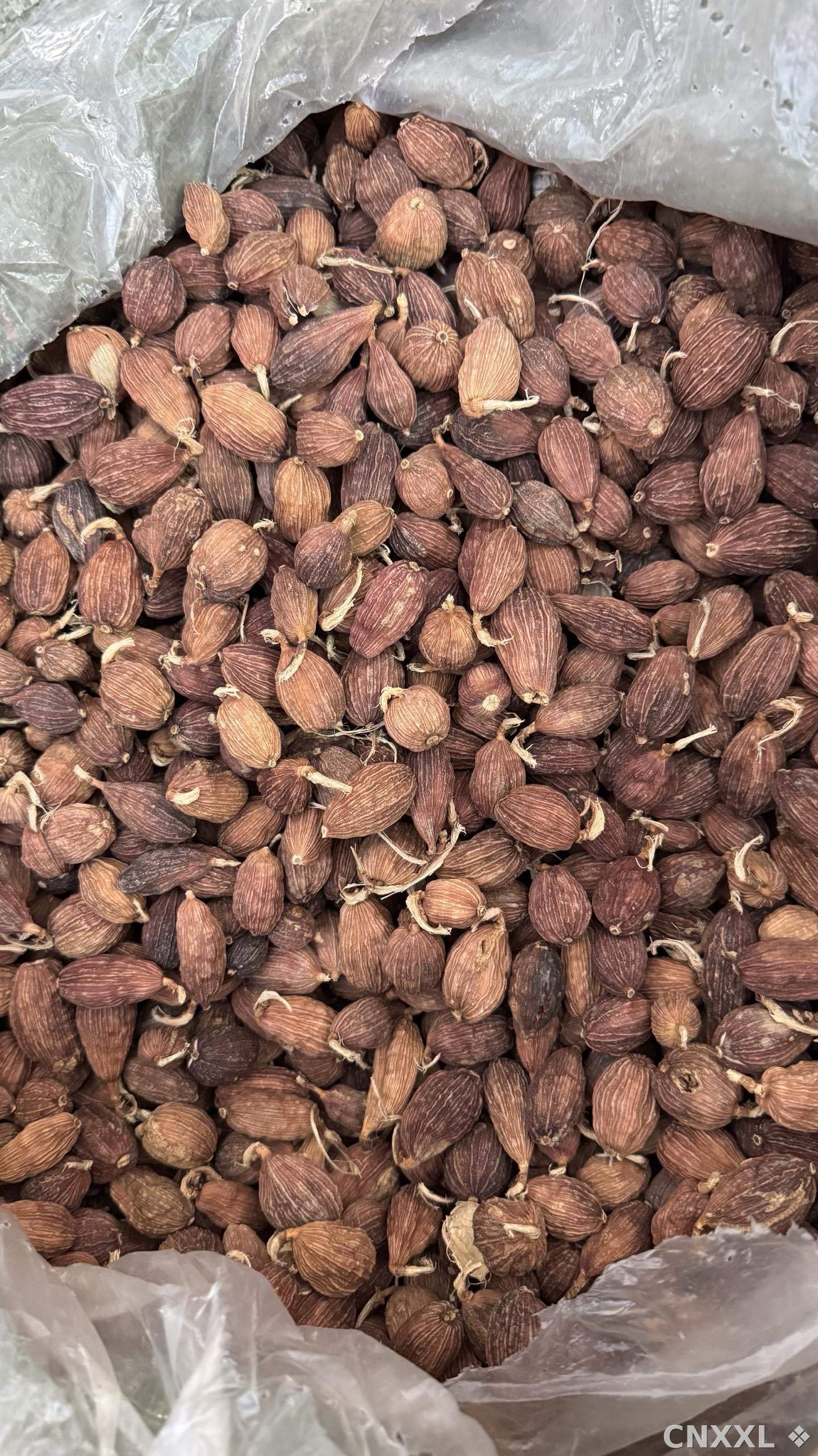 spice_6235224_f64ac4fc_3.jpg