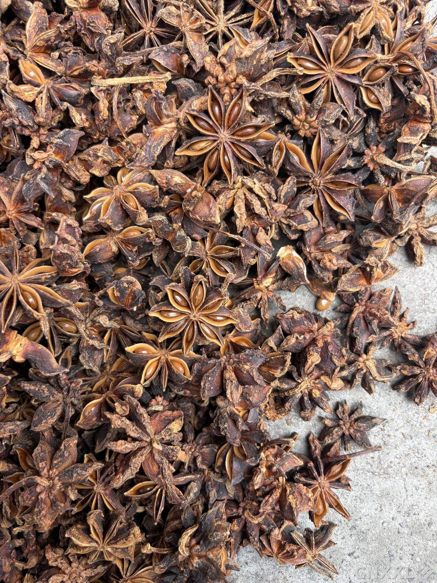 spice_6240386_f4b7b18c_3.jpg