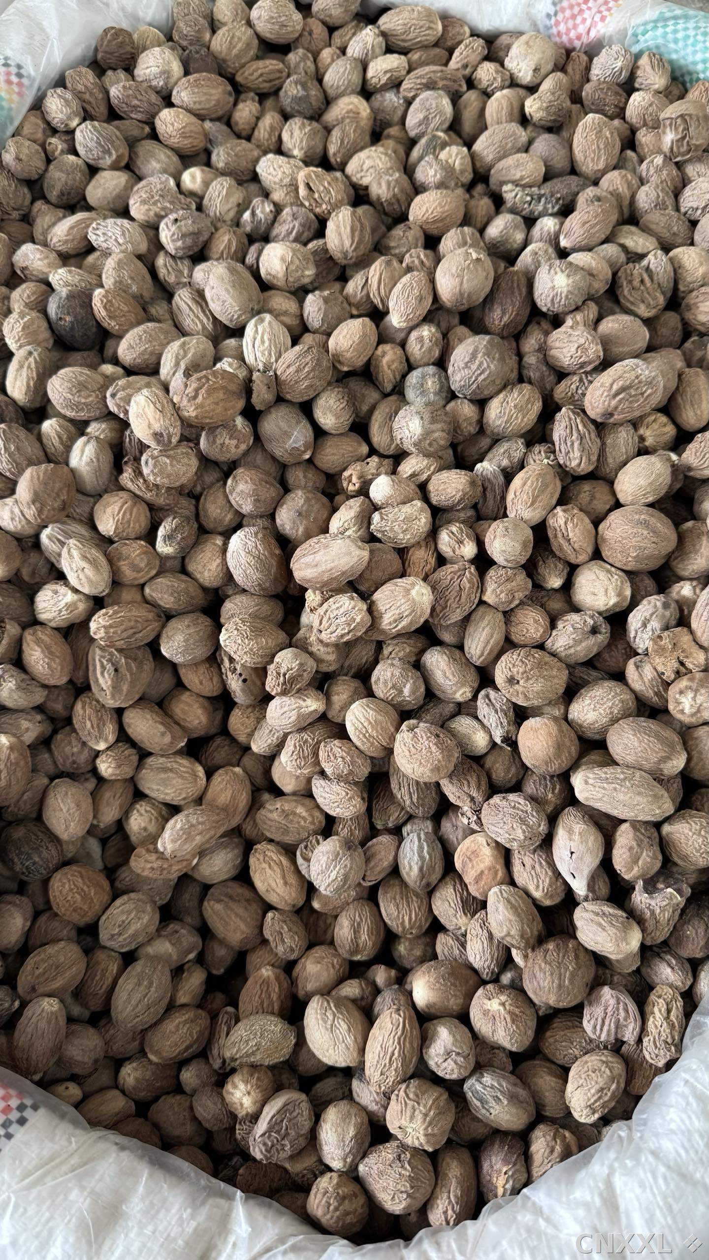 spice_6437976_8c291be5_3.jpg