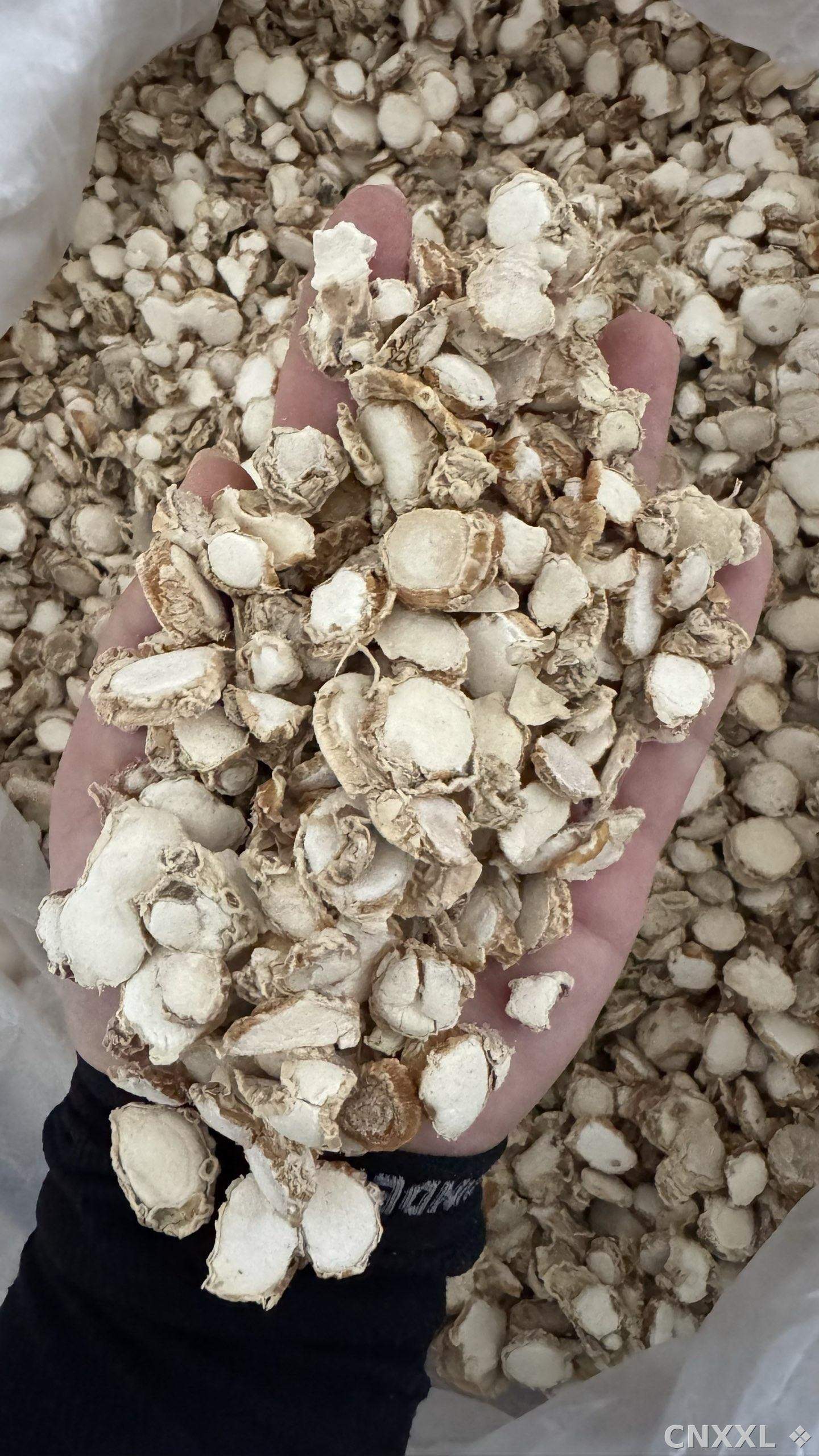 spice_6437979_7755ae49_1.jpg