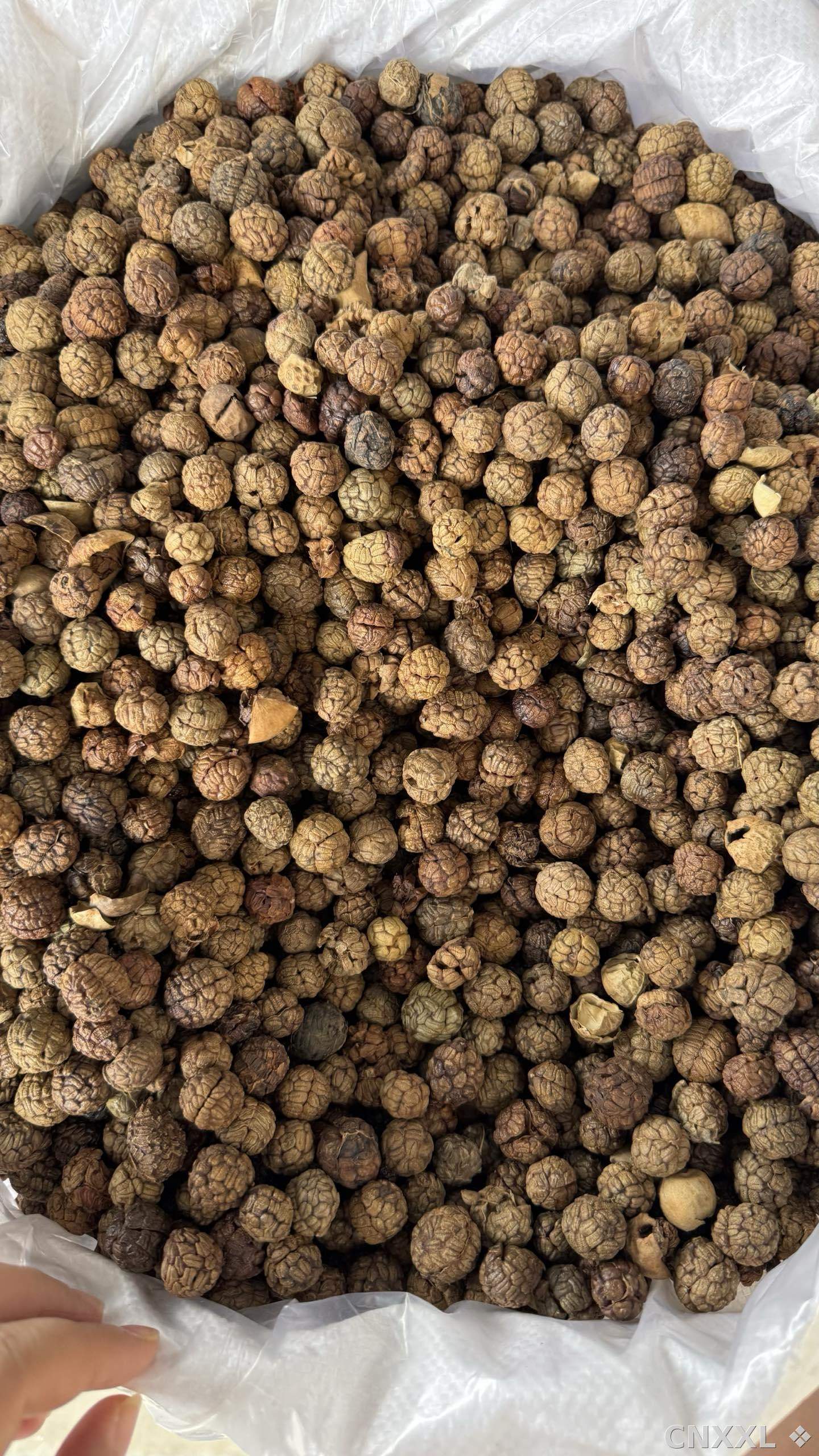 spice_6443152_79c06d8f_3.jpg