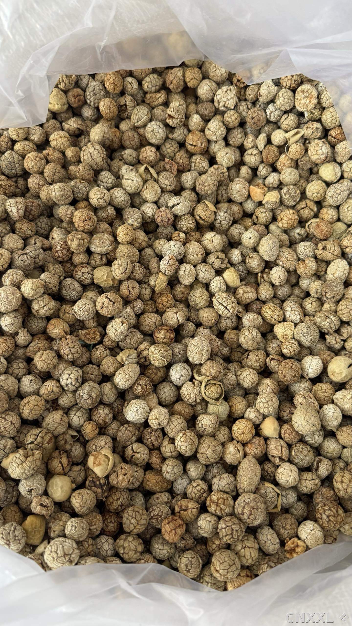 spice_6443153_e1d160e0_3.jpg