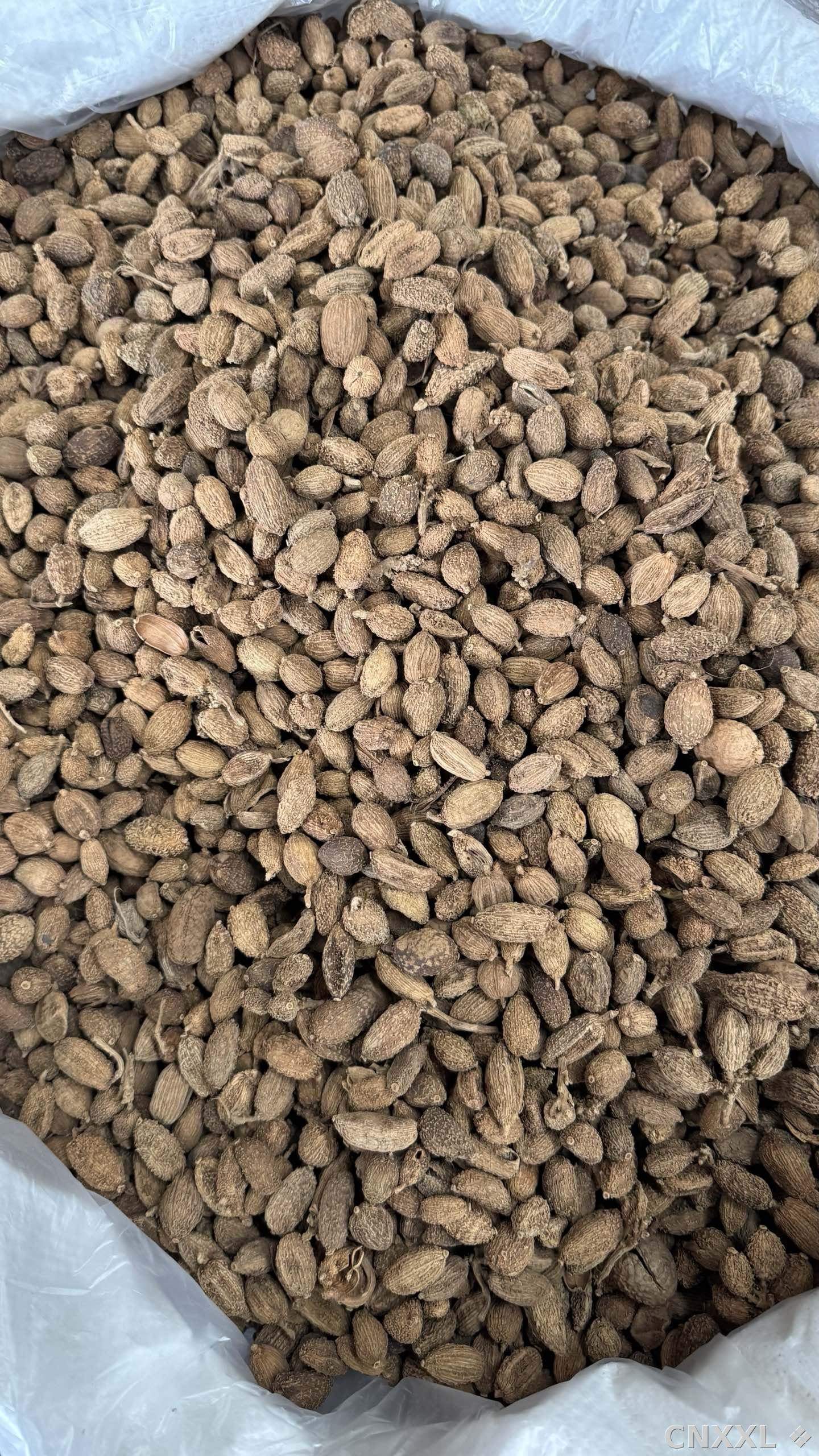 spice_6443155_51686191_2.jpg