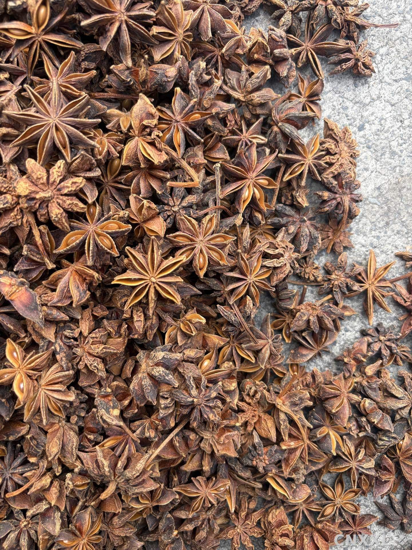 spice_6531590_0a54ad64_3.jpg