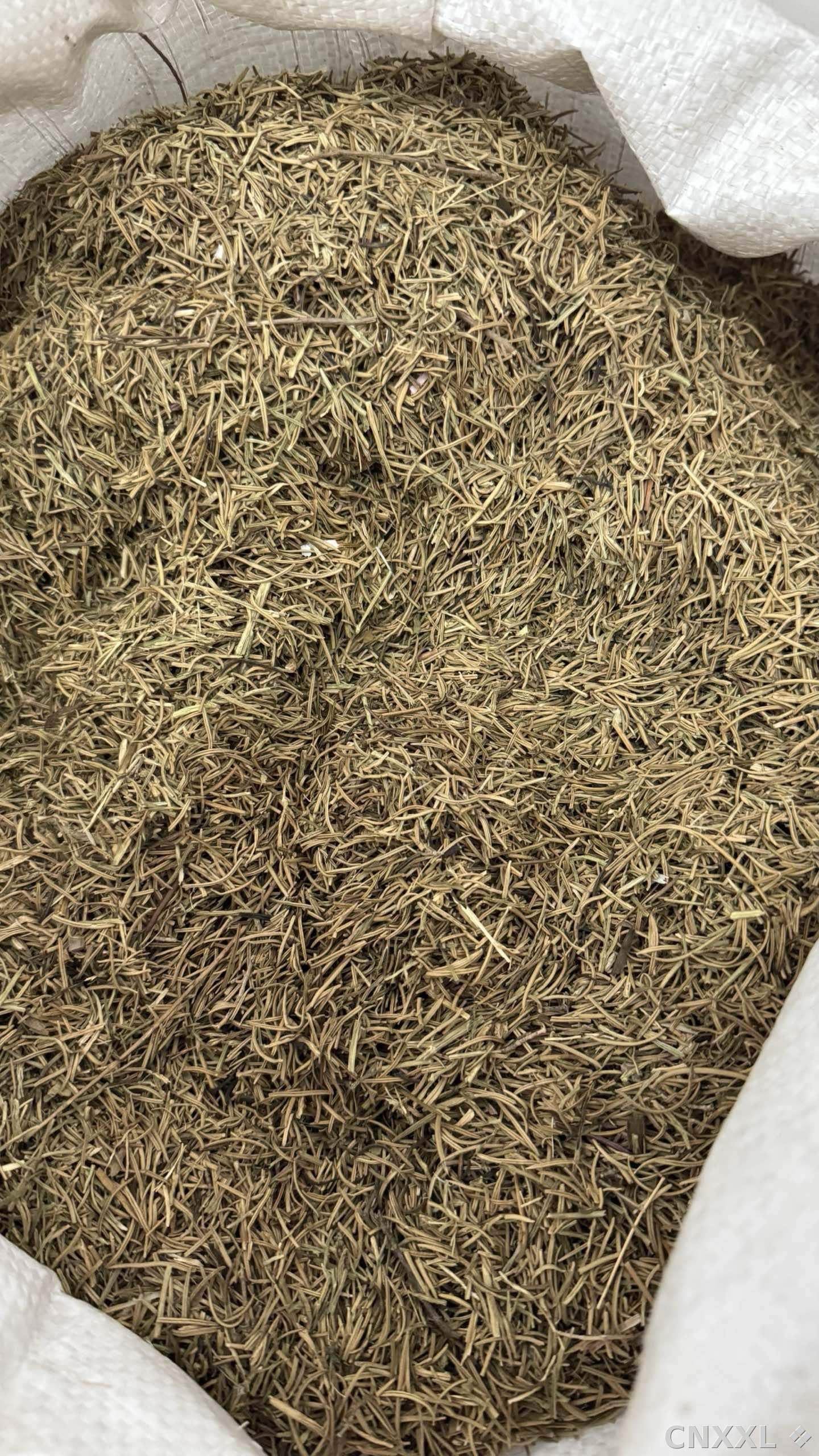 spice_6609675_109aaf49_3.jpg
