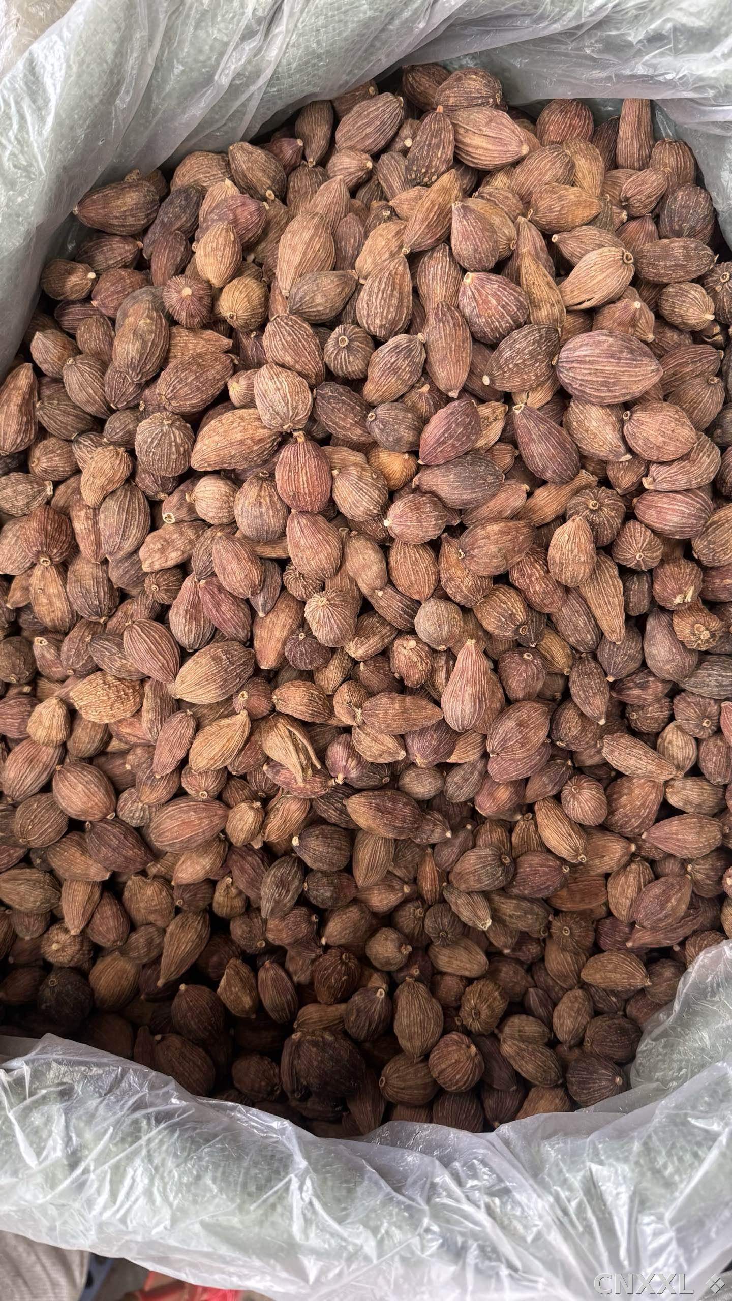 spice_6651336_7aefc7bb_3.jpg