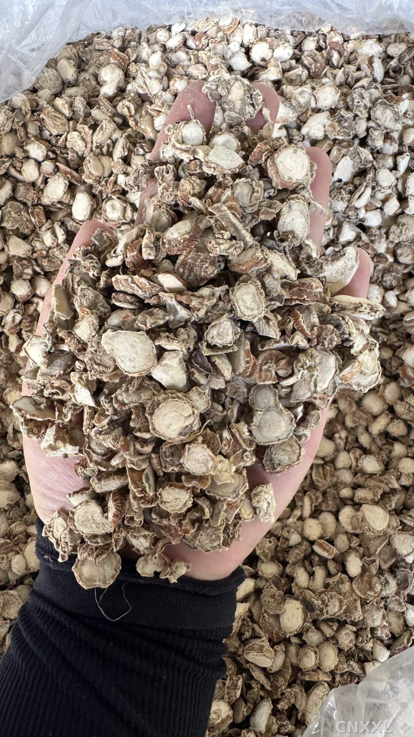spice_6656520_1d6c52a7_1.jpg