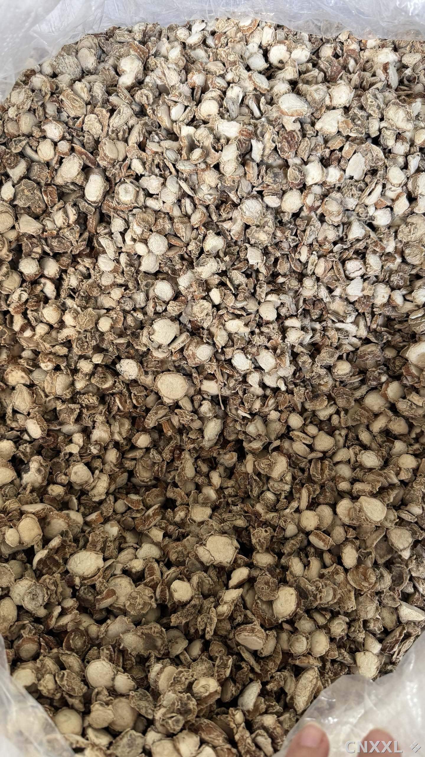spice_6656520_ab81881e_3.jpg