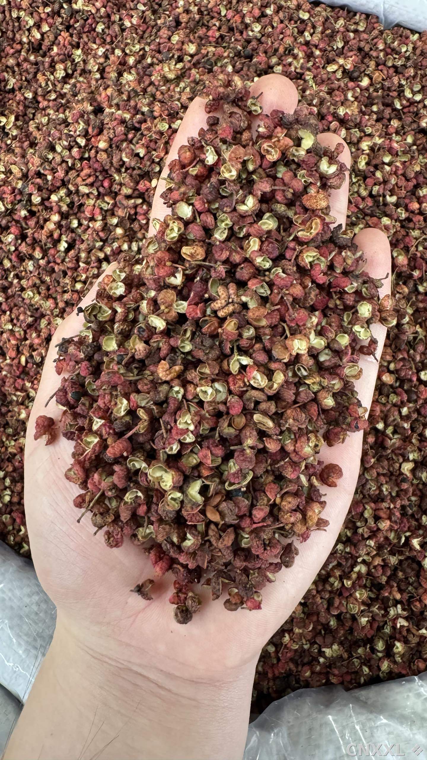 spice_6698159_c8bd00f1_2.jpg