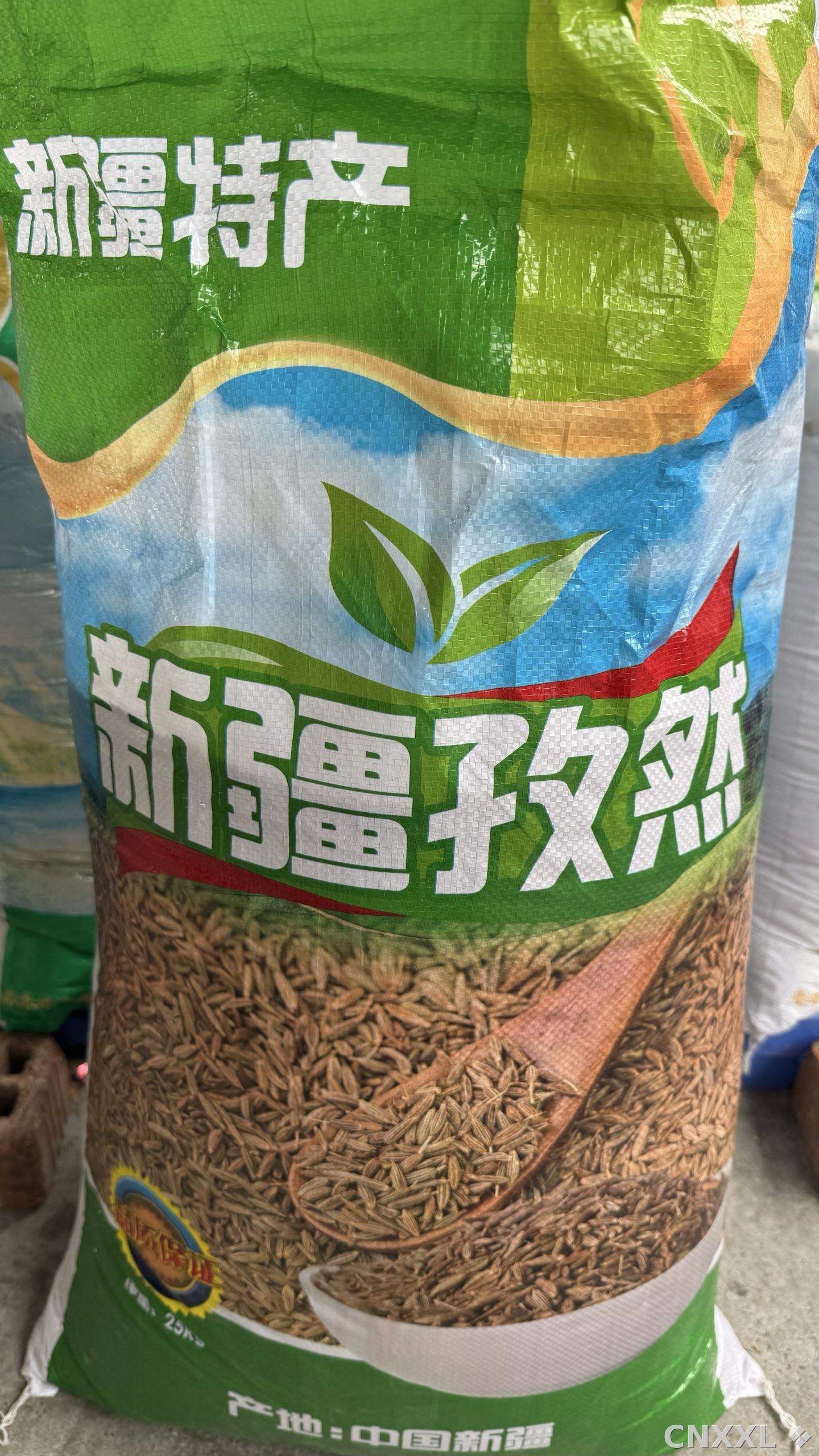 spice_6703358_11b3f3ee_3.jpg