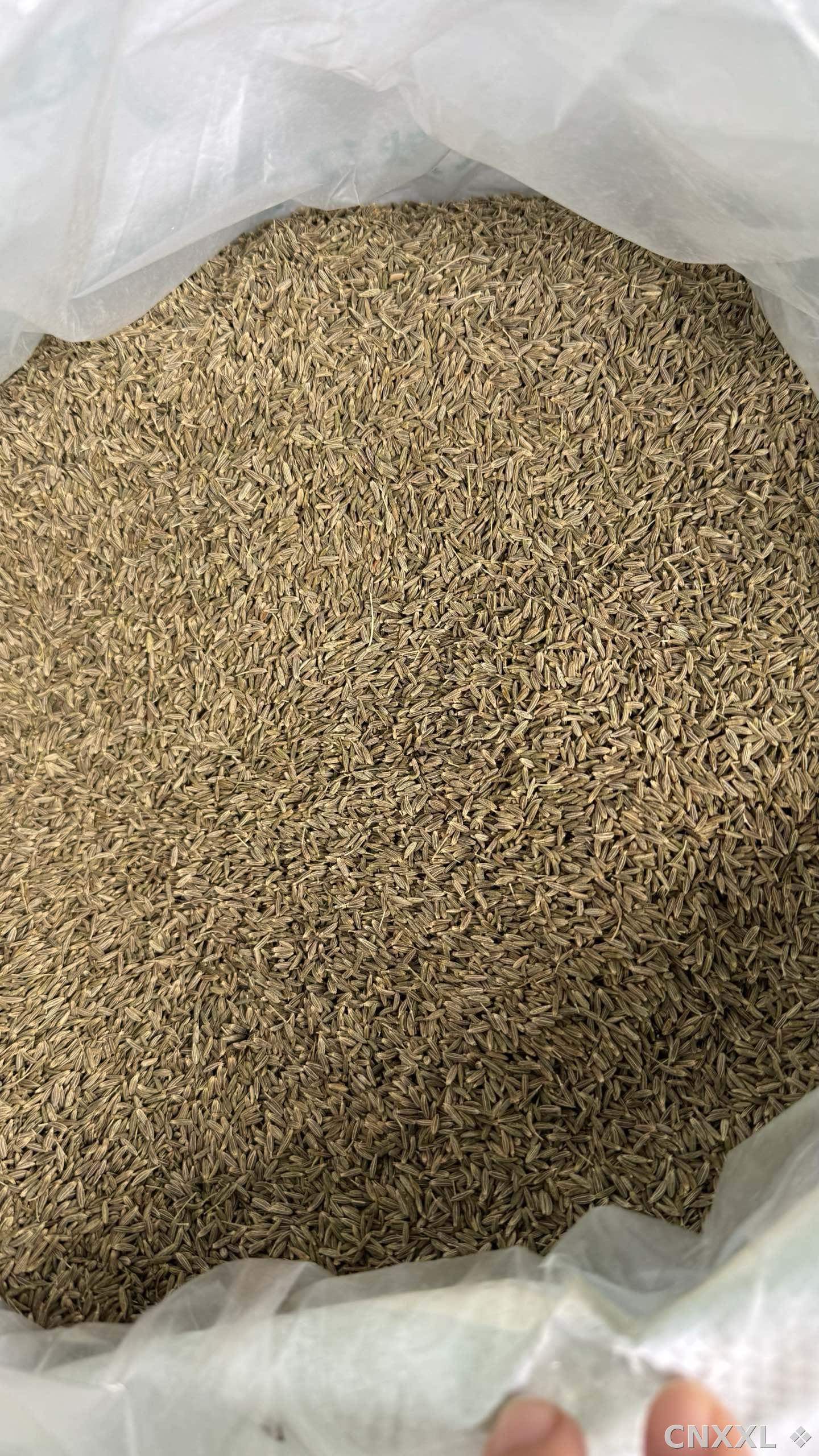 spice_6703358_c5ecae0a_2.jpg