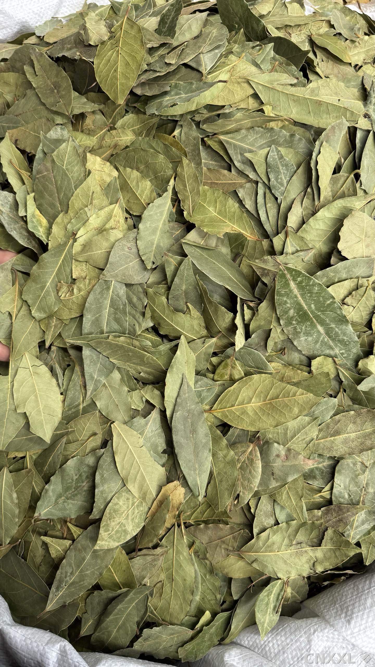 spice_6854180_09ea4171_2.jpg