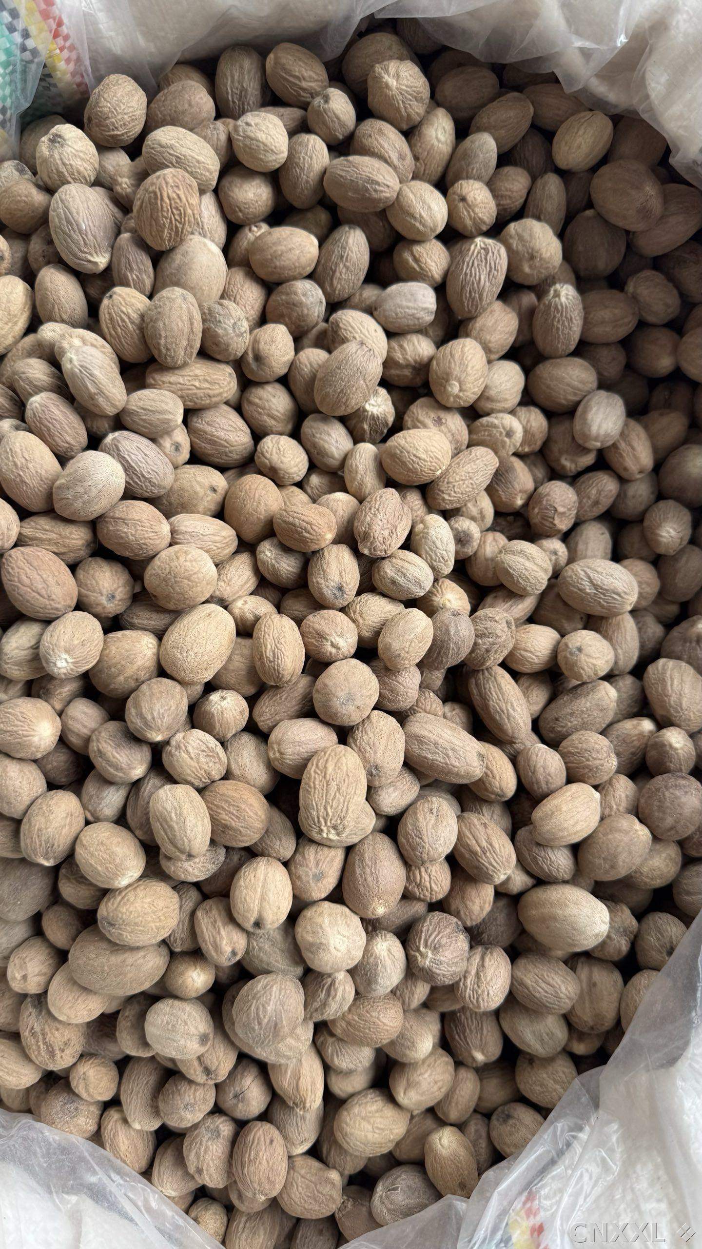 spice_6859396_1b34e146_3.jpg