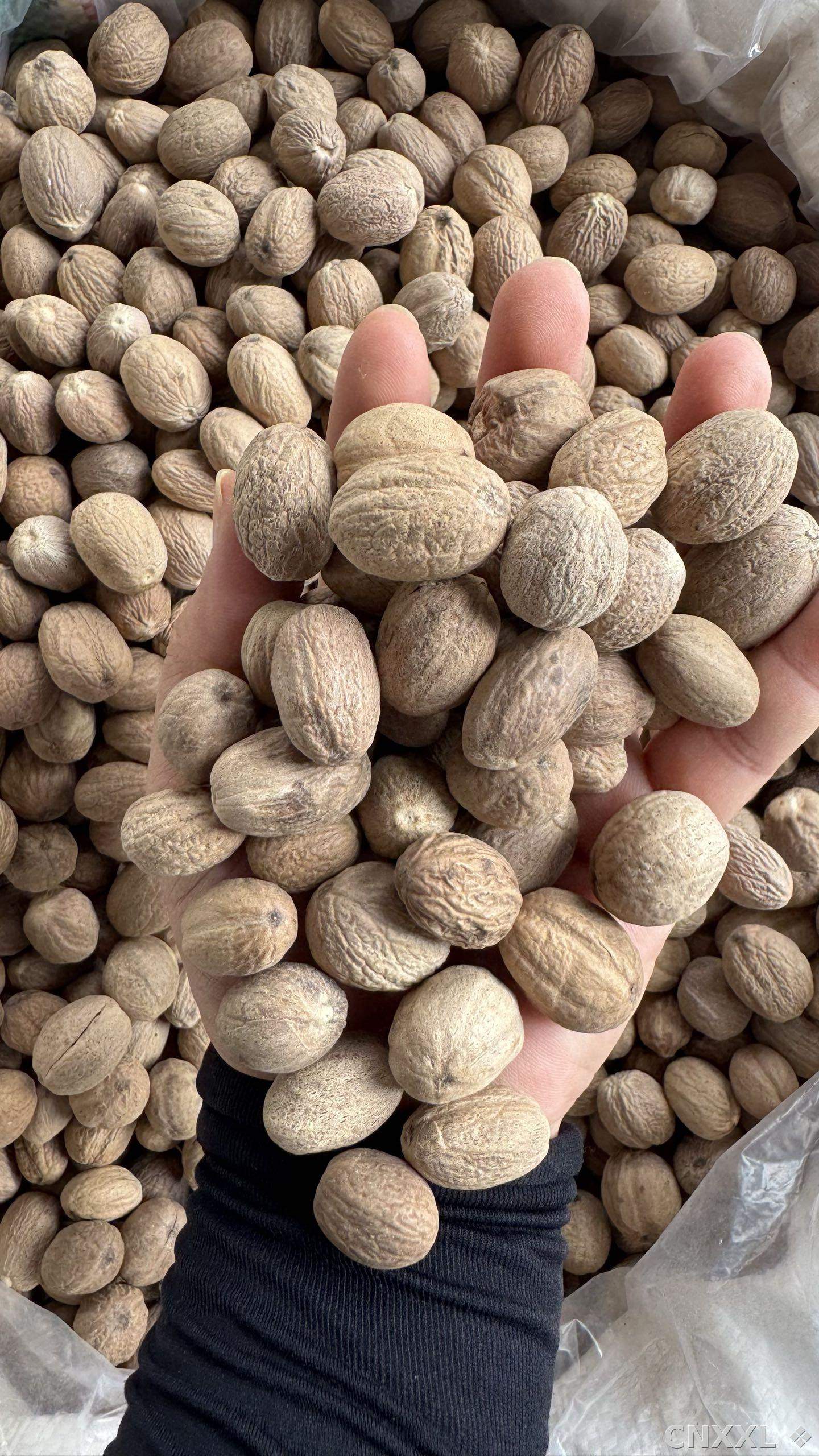 spice_6859396_3e2f8bf0_2.jpg
