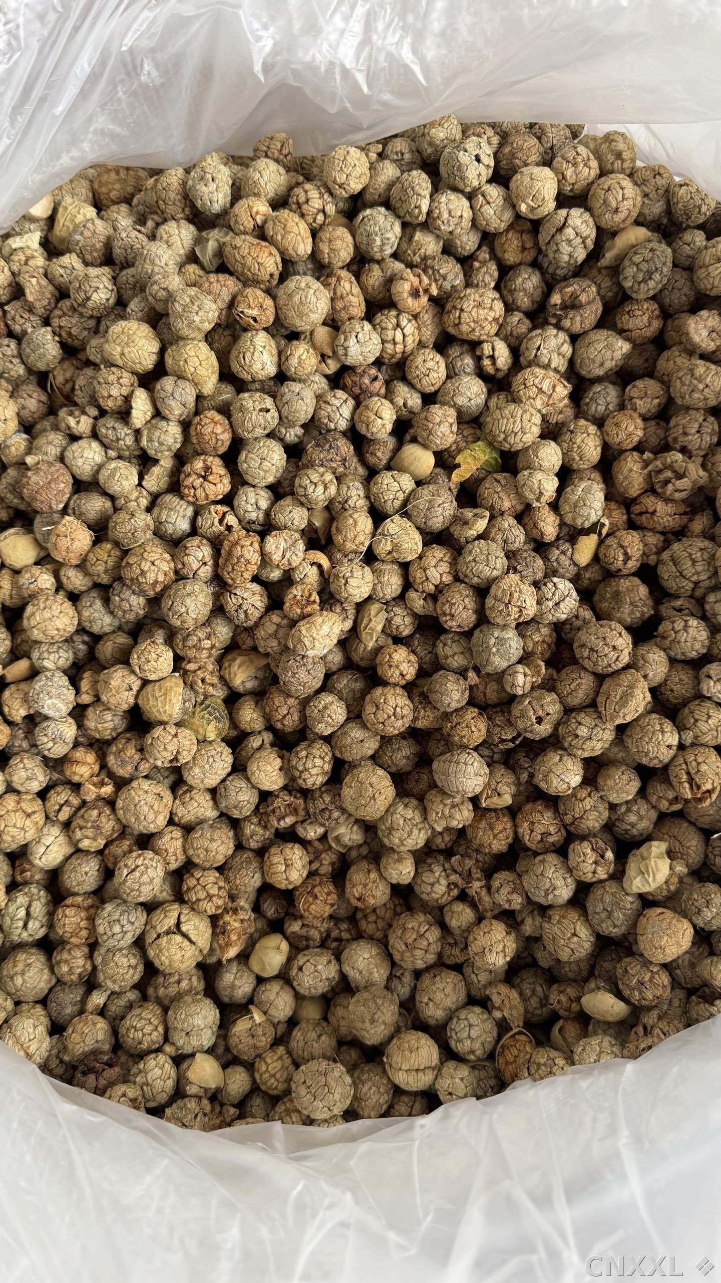 spice_6859413_fad301cb_3.jpg