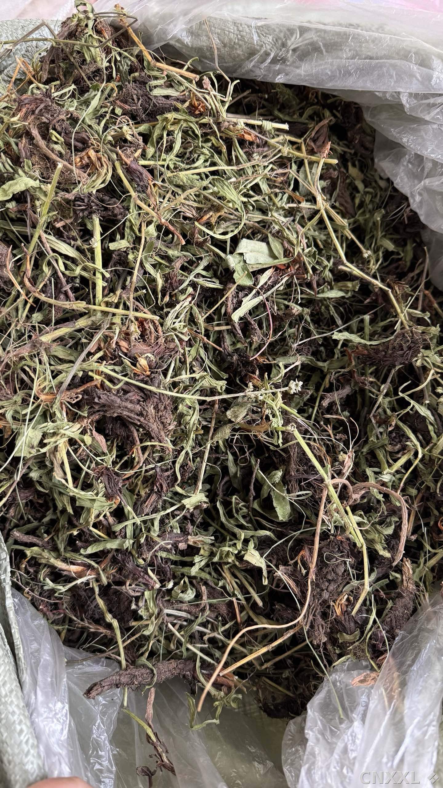 spice_6875014_9a6f20e0_3.jpg