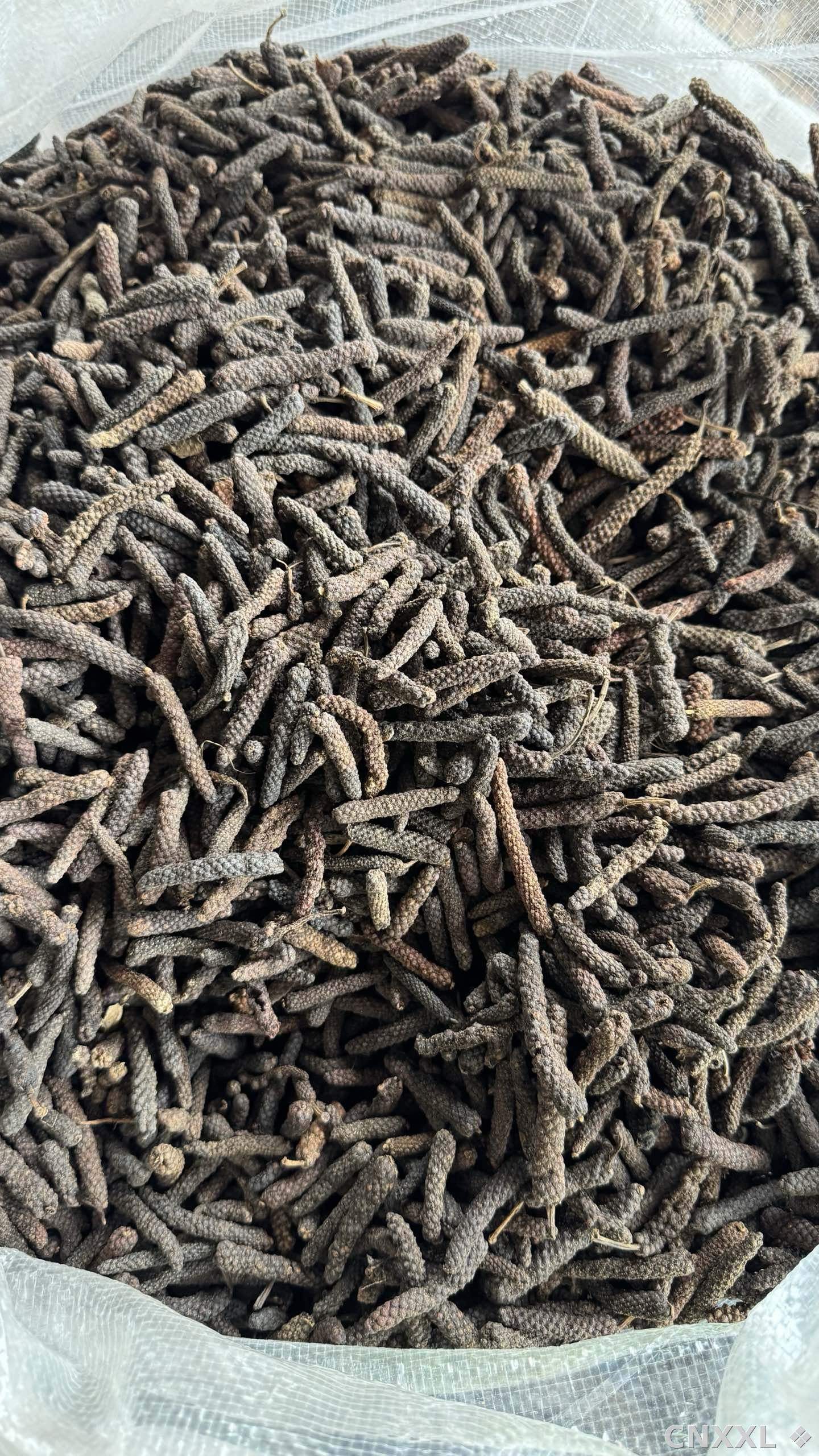 spice_6963574_7fd2f803_3.jpg