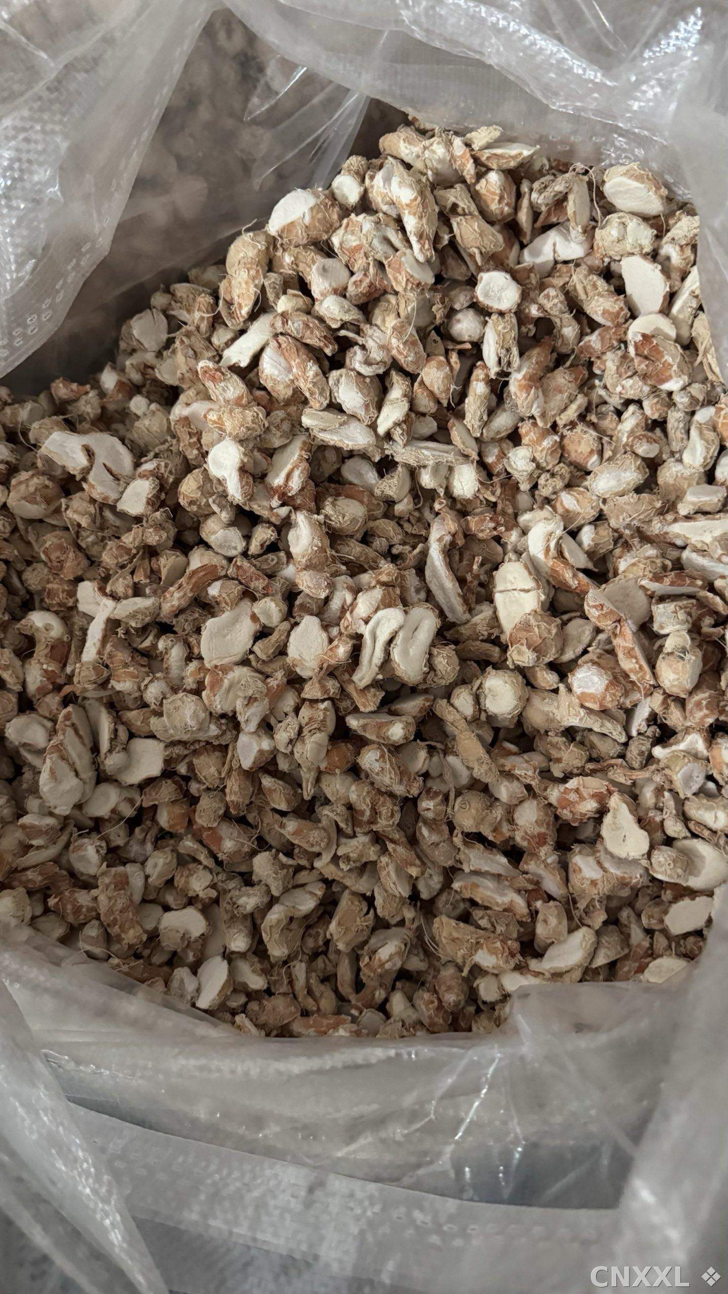 spice_6963582_1fd1a2bb_3.jpg