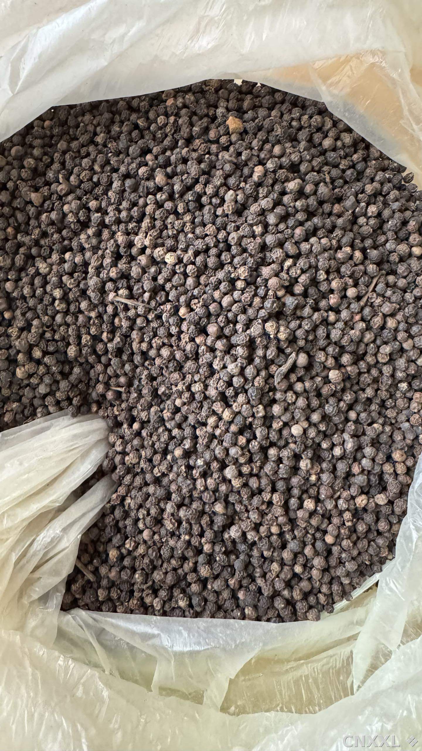 spice_7005263_32fd6b4f_3.jpg