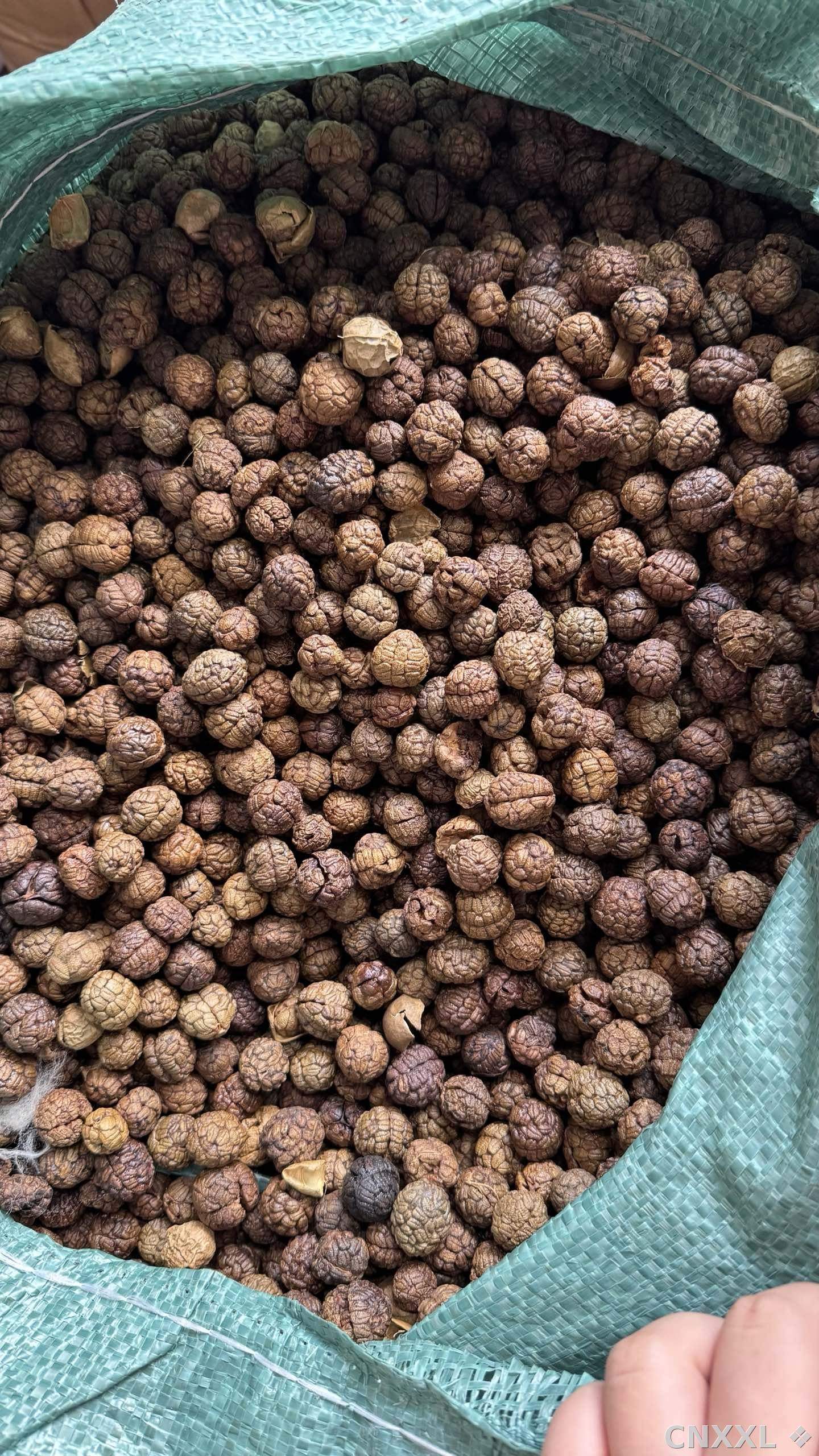 spice_7062589_2d783a46_3.jpg