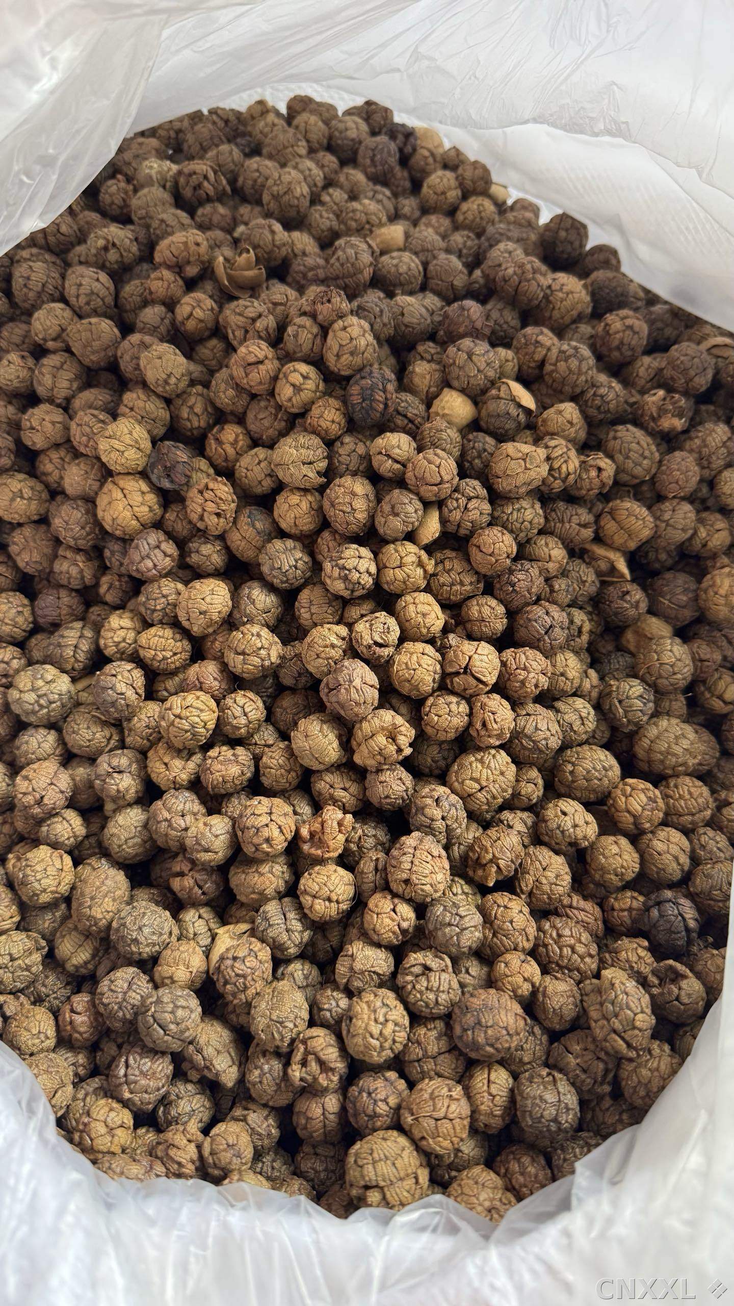 spice_7062589_55165d20_3.jpg