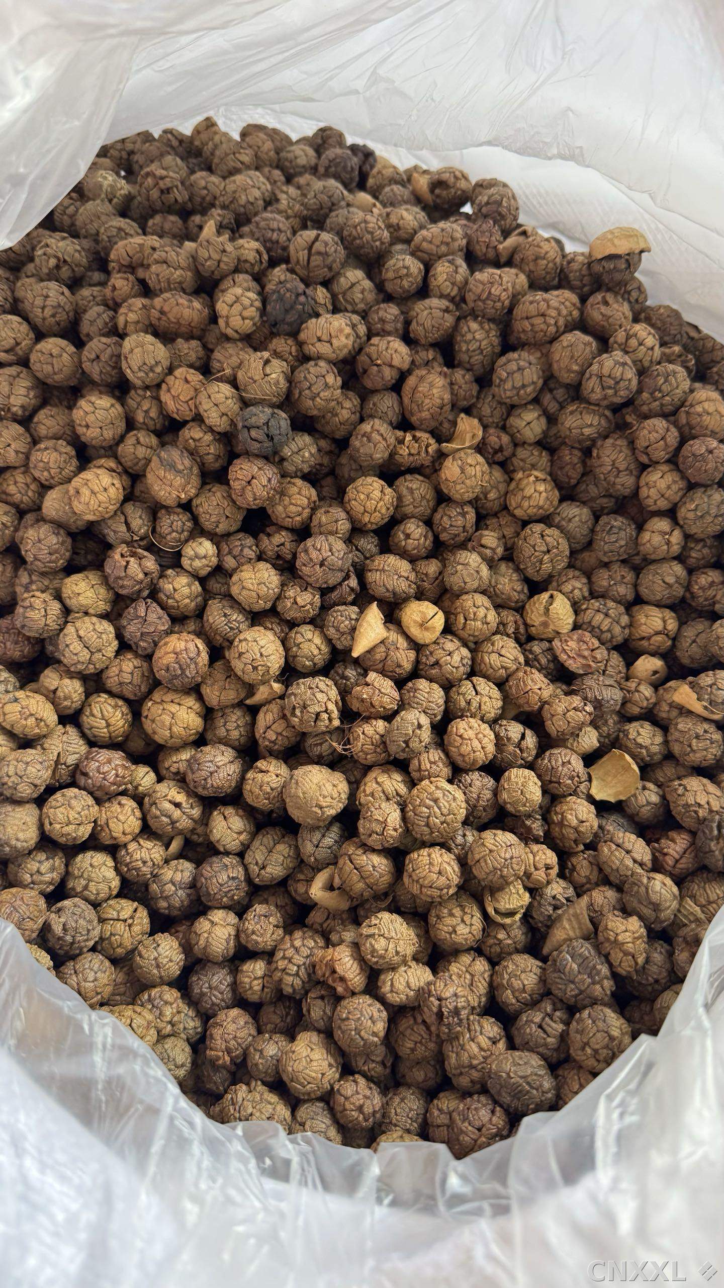 spice_7062589_c22c8f05_2.jpg