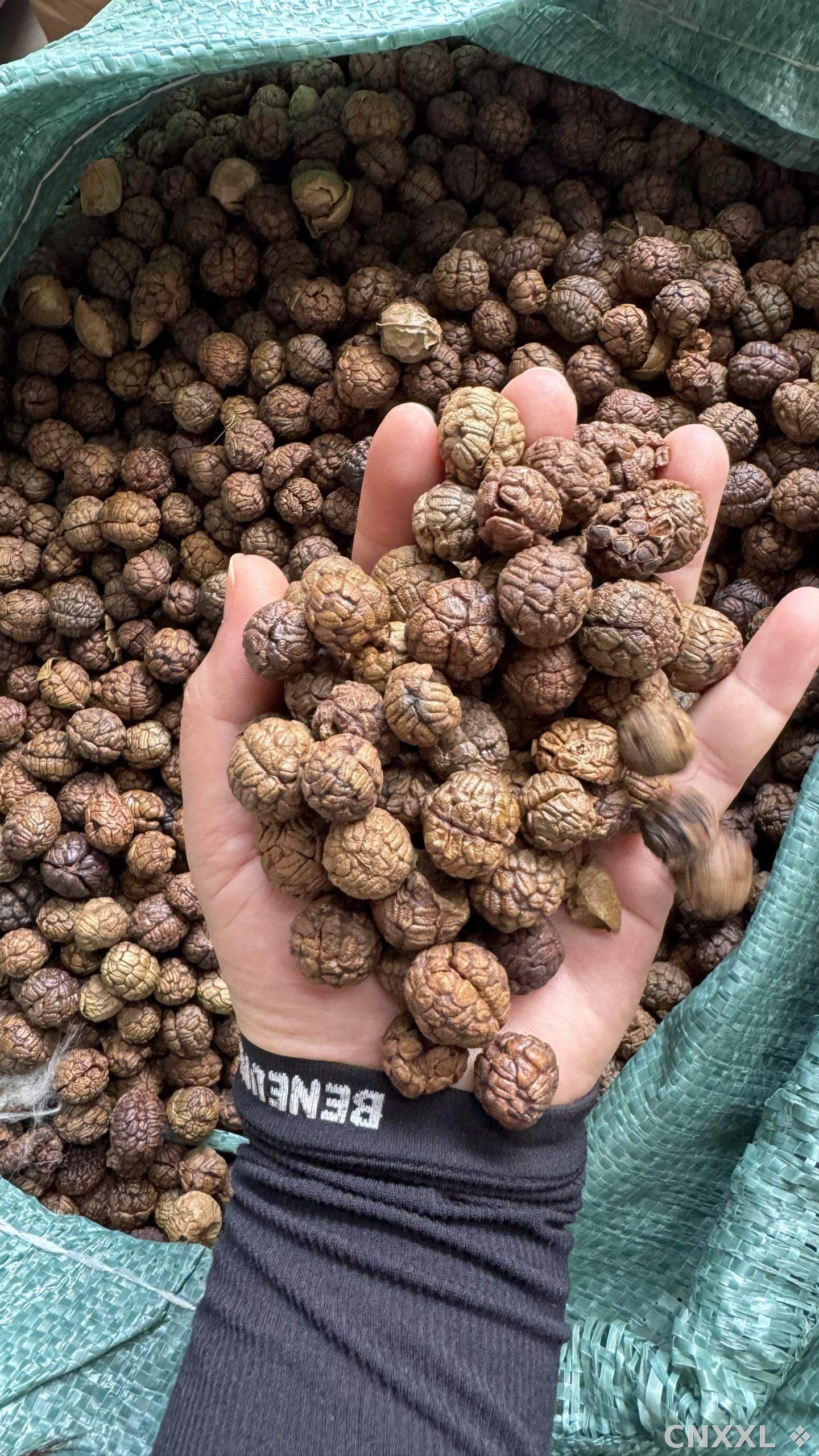 spice_7062589_cbb5dd5d_2.jpg