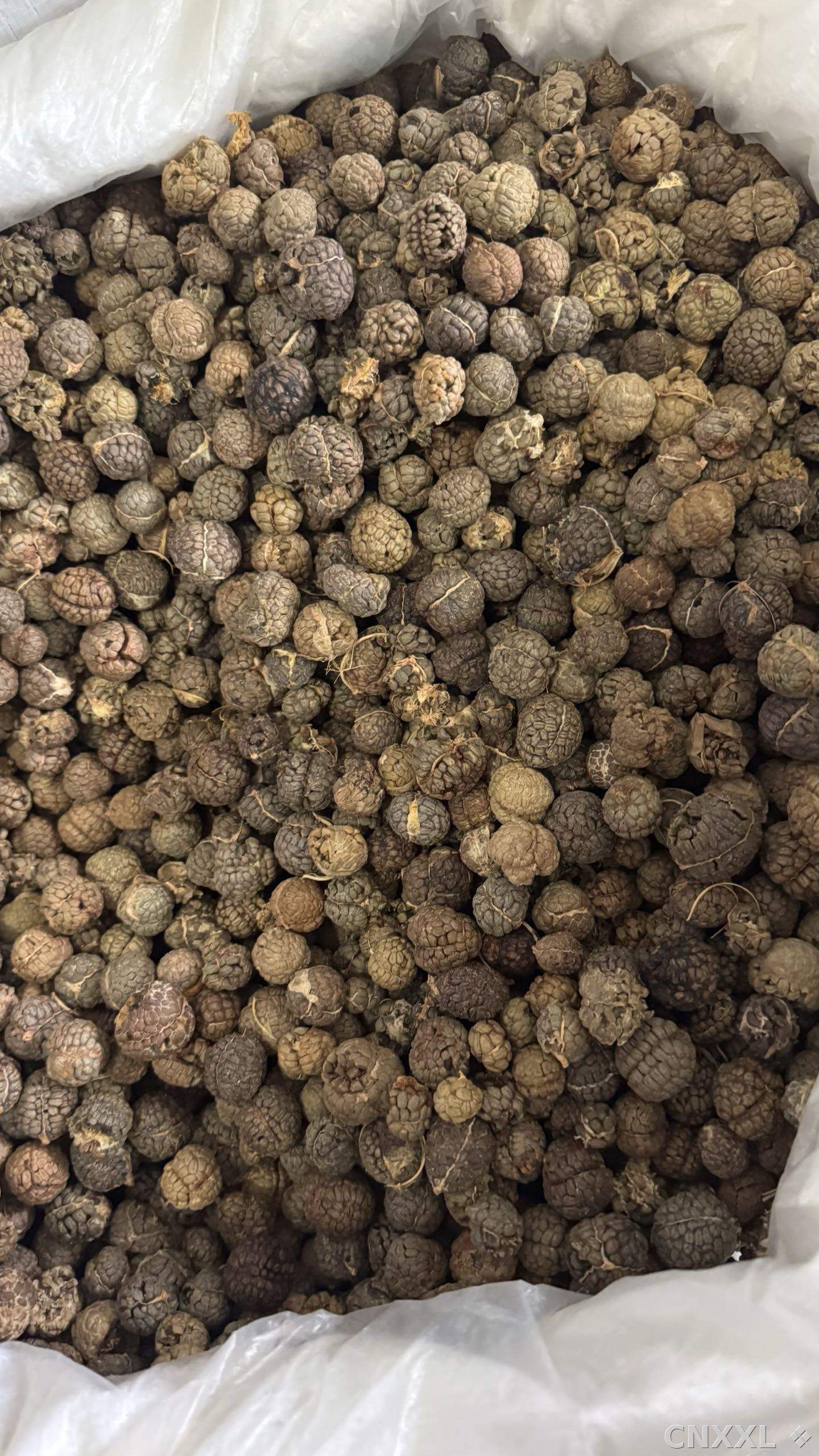 spice_7219037_081a04d0_3.jpg
