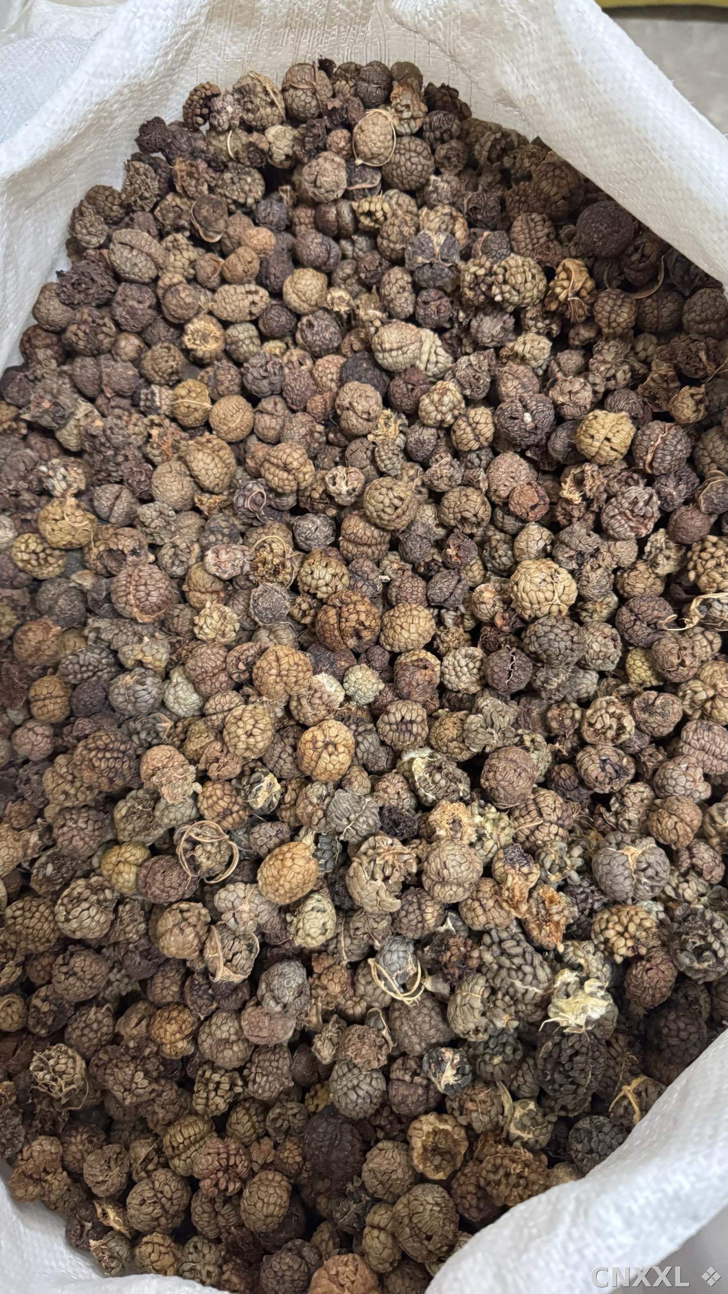 spice_7224250_6c9937b4_3.jpg