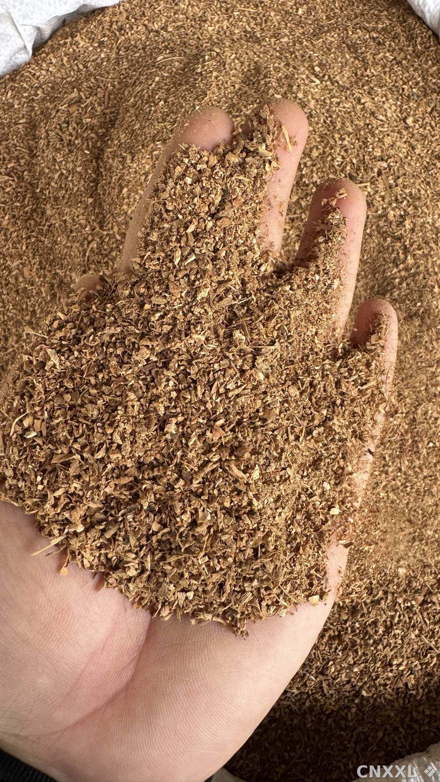 spice_7375449_0be75f33_1.jpg