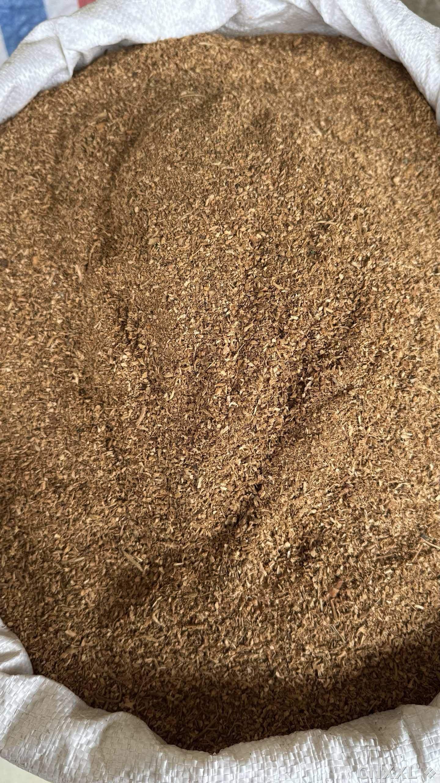 spice_7375449_94bee675_3.jpg