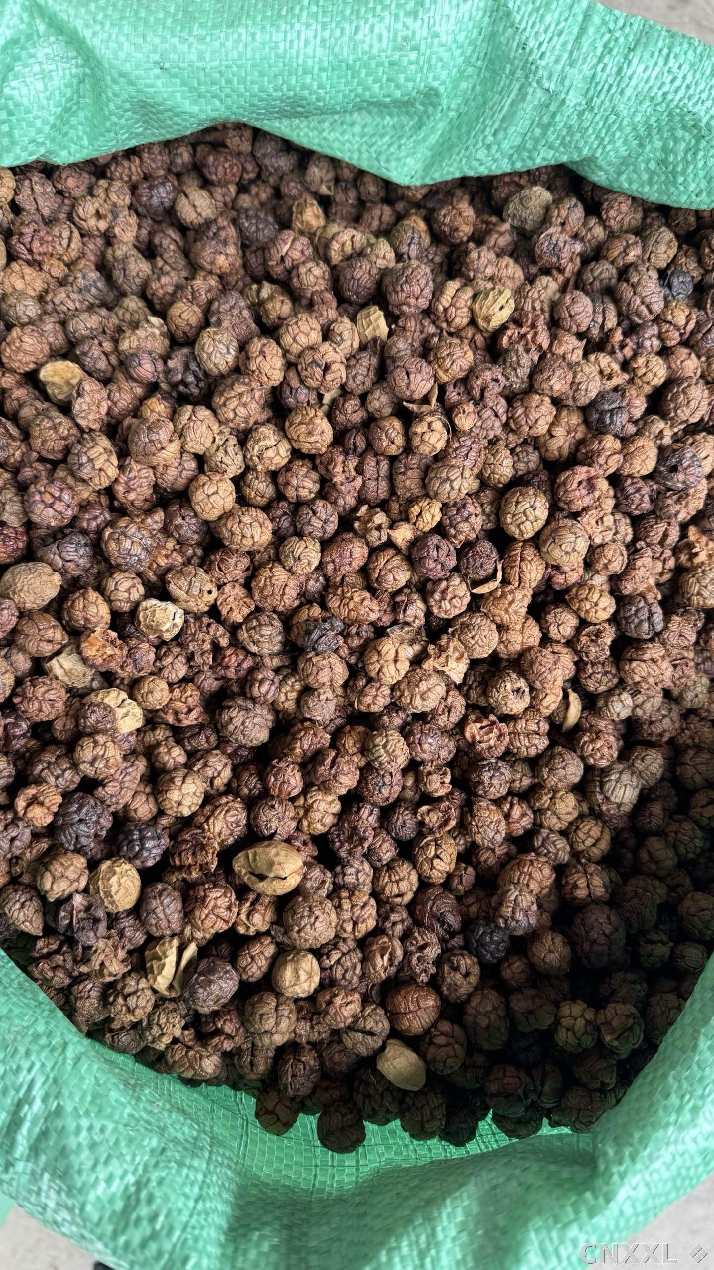 spice_7375450_3b060853_2.jpg
