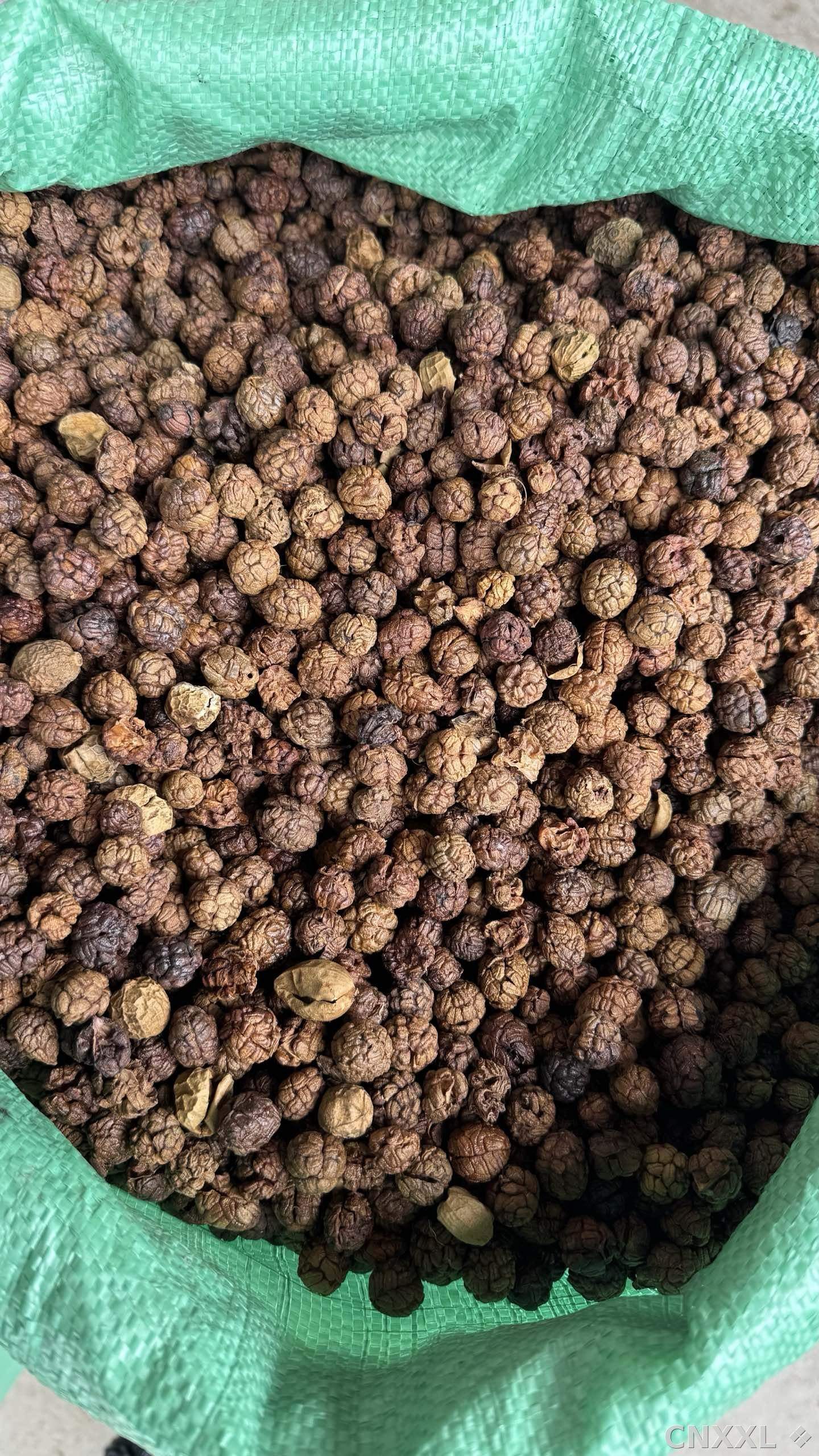 spice_7375450_b73c6746_3.jpg