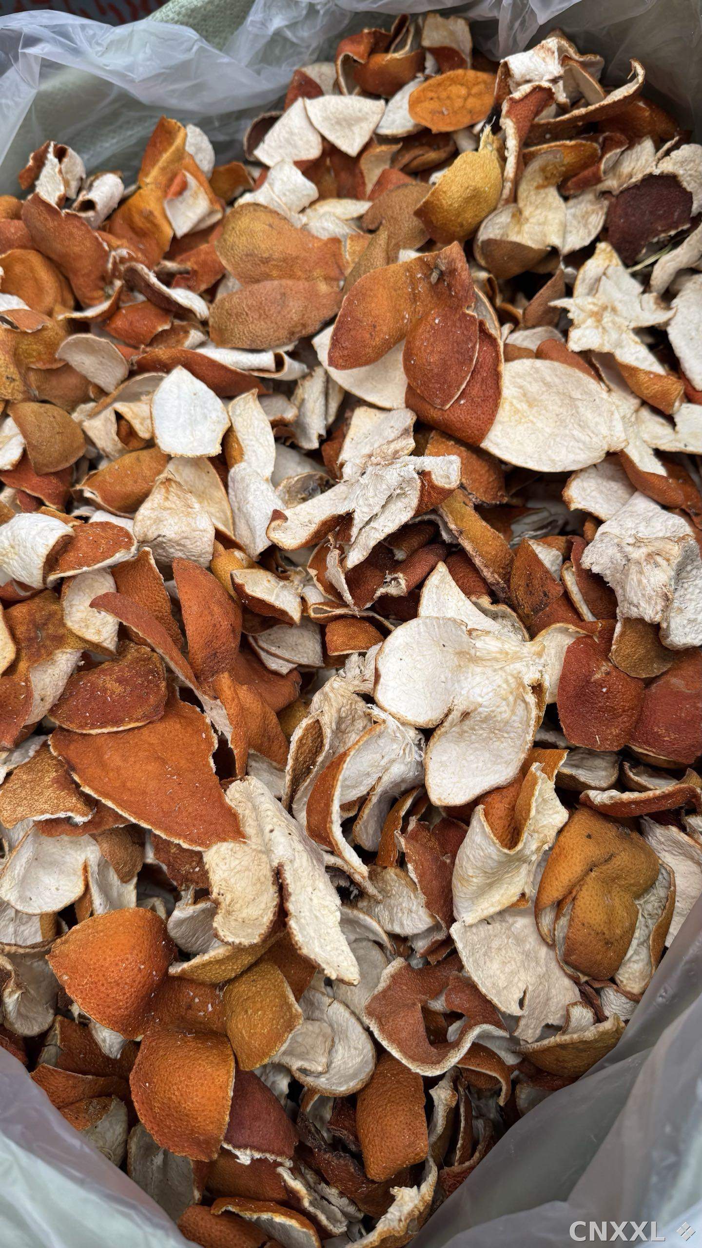 spice_8349_dcaed7bd_3.jpg