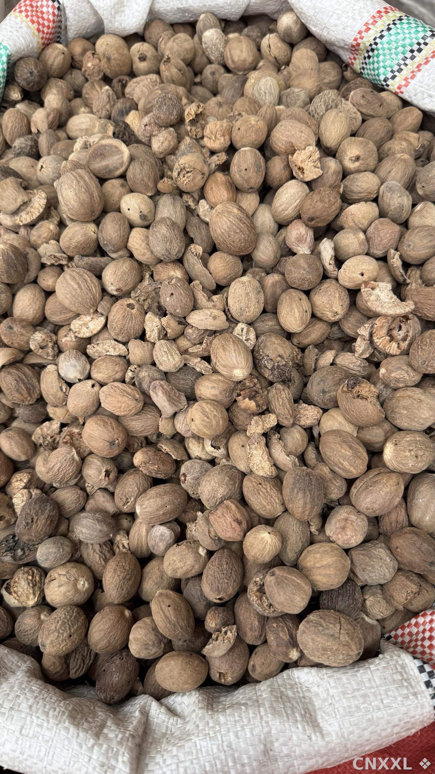 spice_8646_a4c1b143_3.jpg