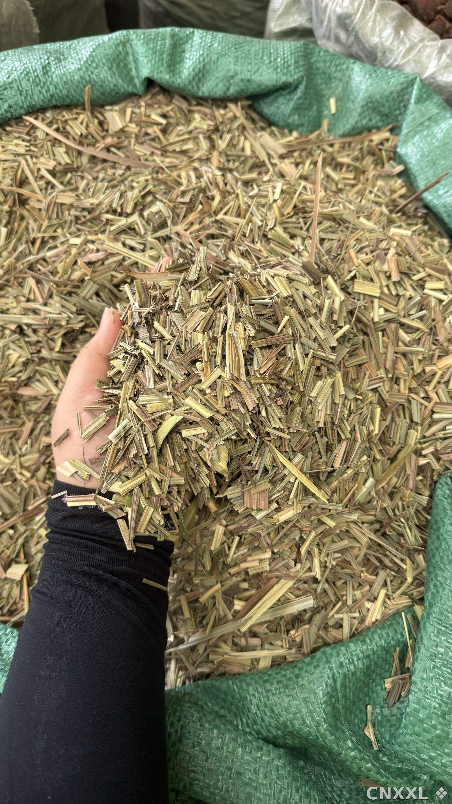 spice_9372_83d0810f_1.jpg