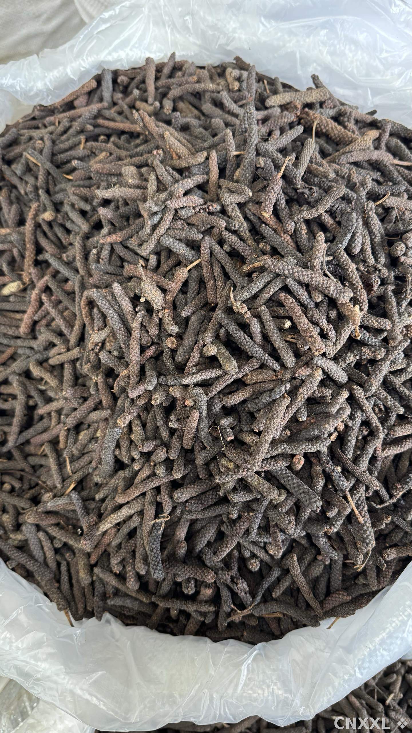 spice_9784_b8599ee7_3.jpg