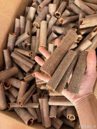 spice_14828_75fe39db_1.jpg