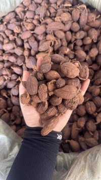 spice_18788_3ccd3bf4_1.jpg