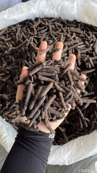 spice_18871_f10b193e_1.jpg