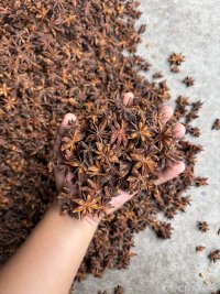 spice_1957327_f70966f9_1.jpg