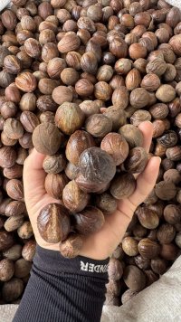 spice_2028190_01c87fa1_1.jpg