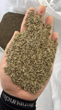 spice_2053484_810fa042_1.jpg
